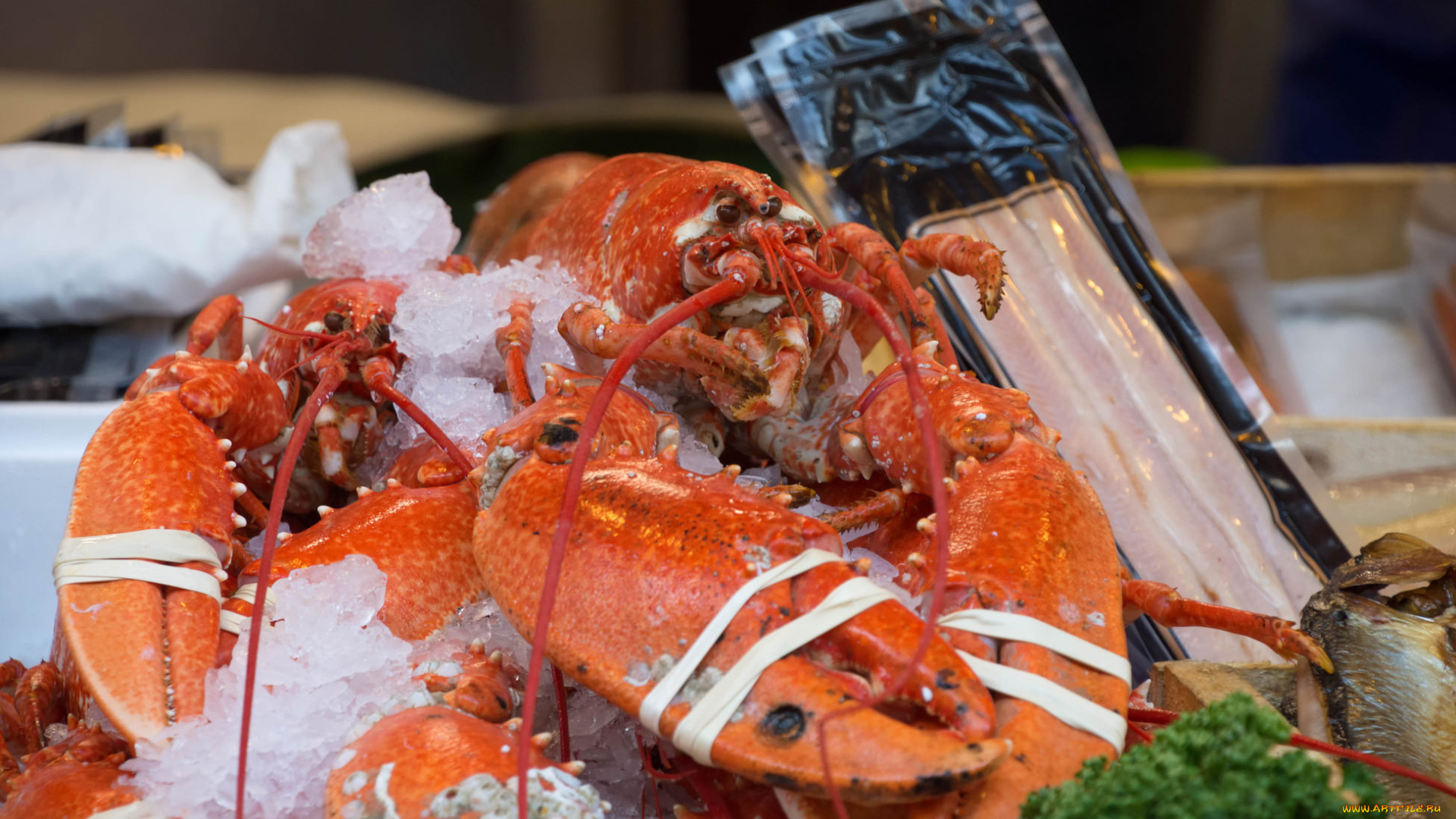 еда, рыба, , морепродукты, , суши, , роллы, омар