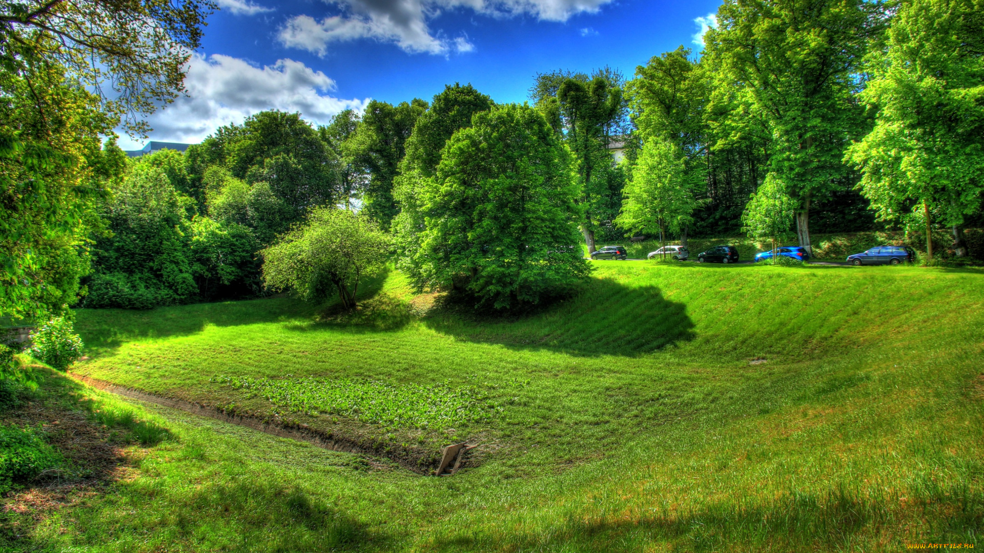 природа, луга, облака, солнце, небо, трава