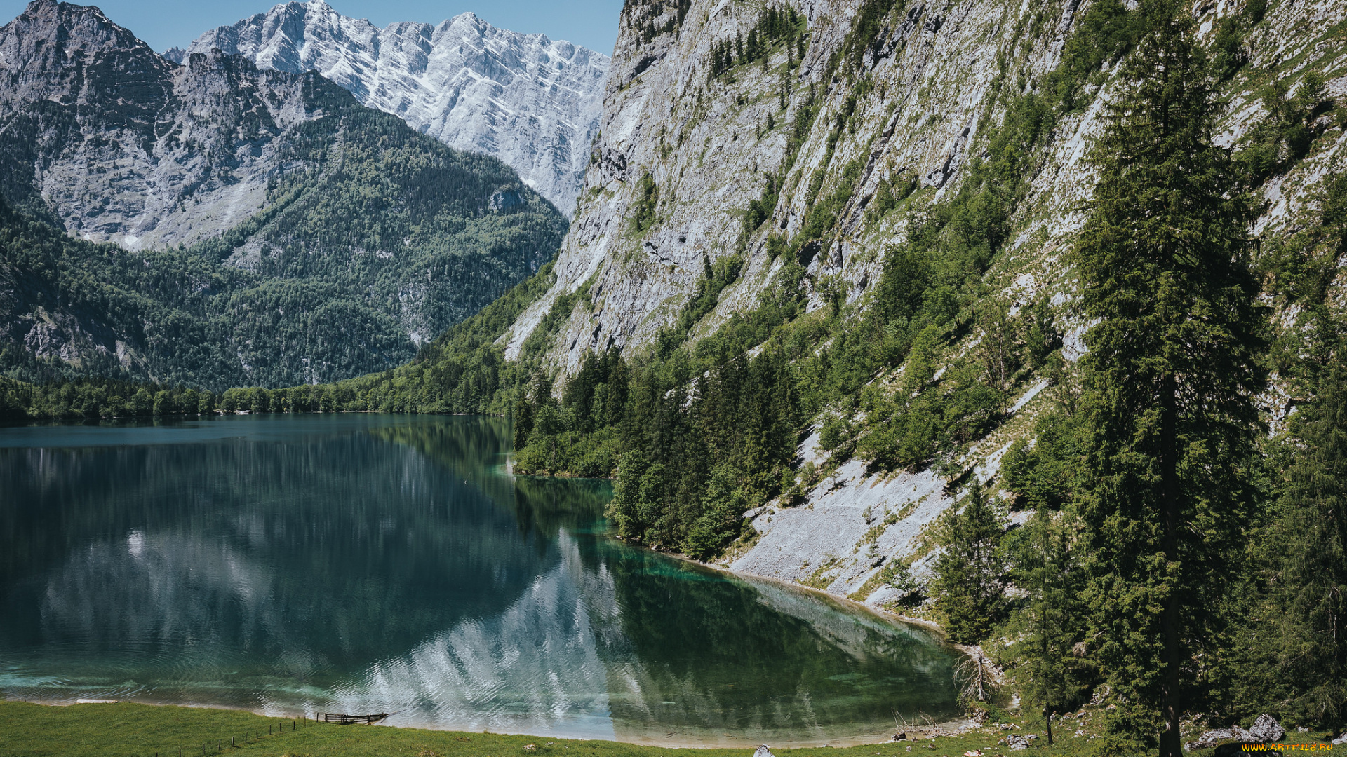 природа, реки, озера, лес, река