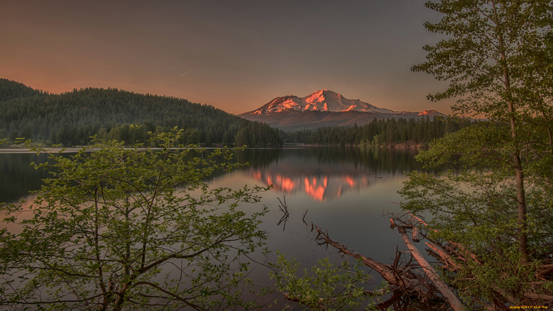 природа, реки, озера, лес, река