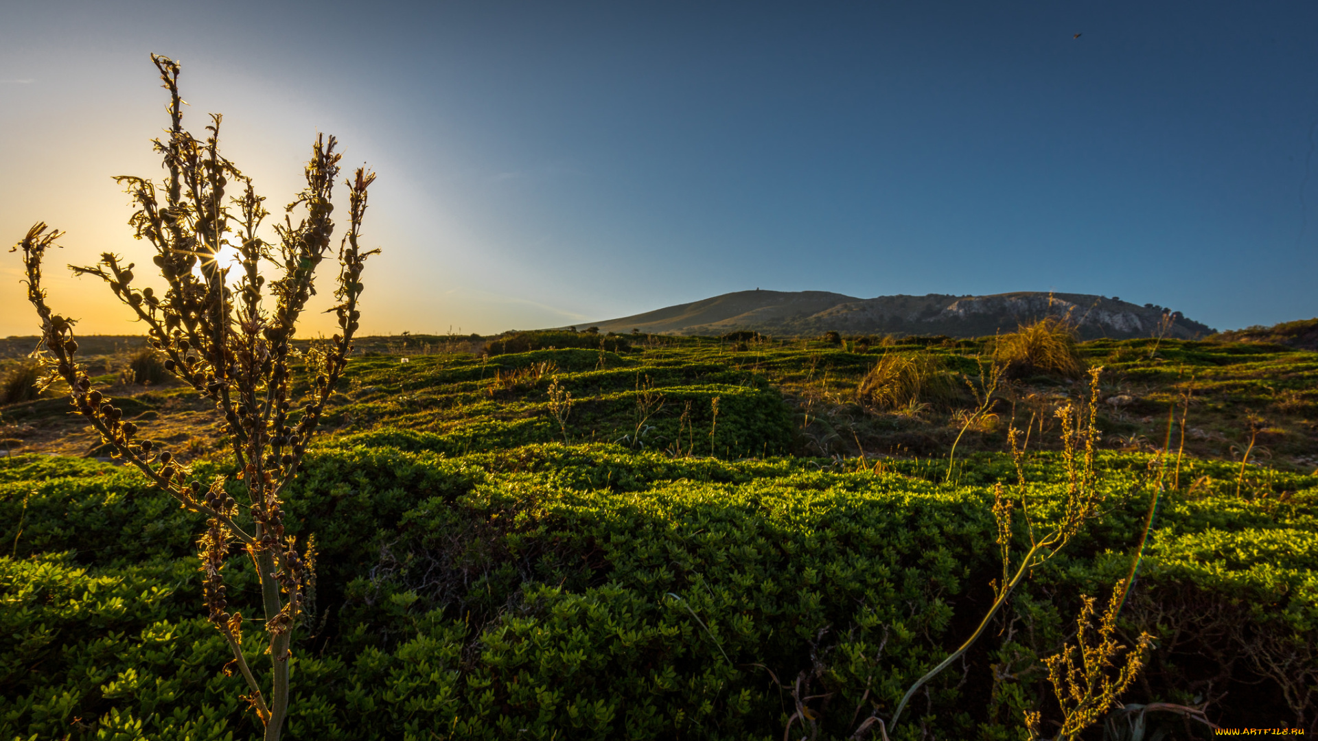 природа, восходы, закаты, рассвет