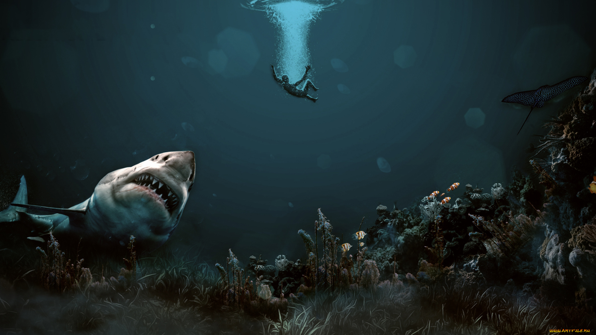 разное, компьютерный, дизайн, фон, человек, акула, океан
