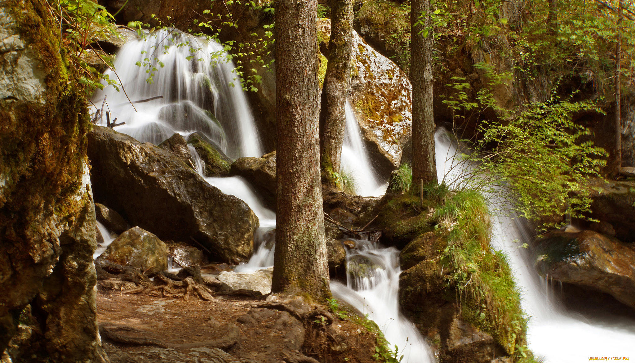 природа, водопады, водопад, река, лес