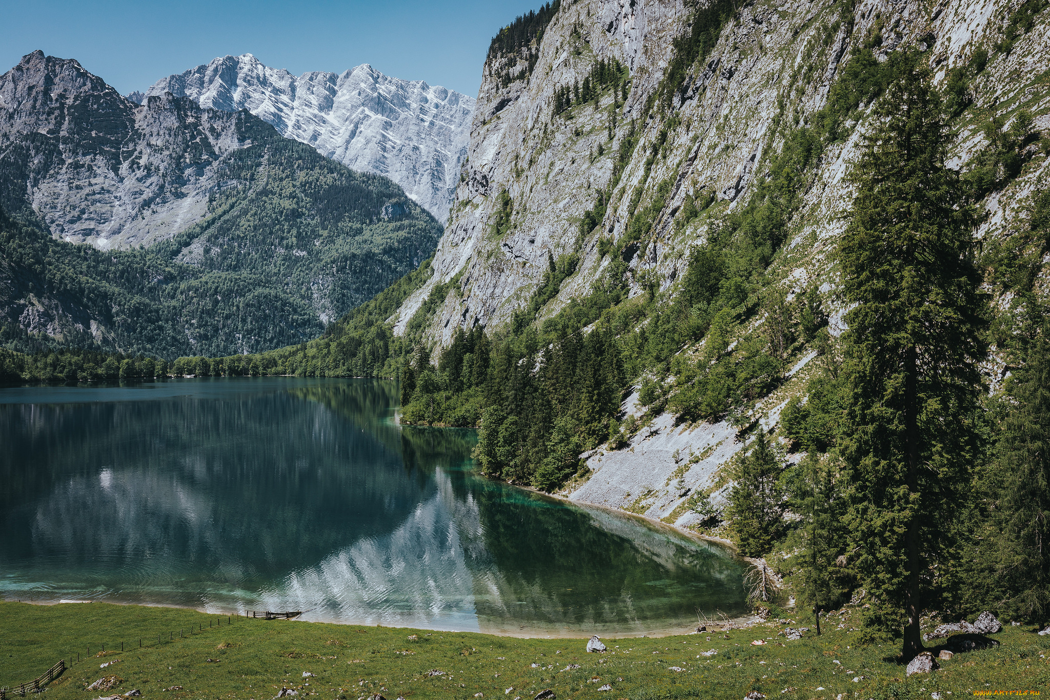 природа, реки, озера, лес, река