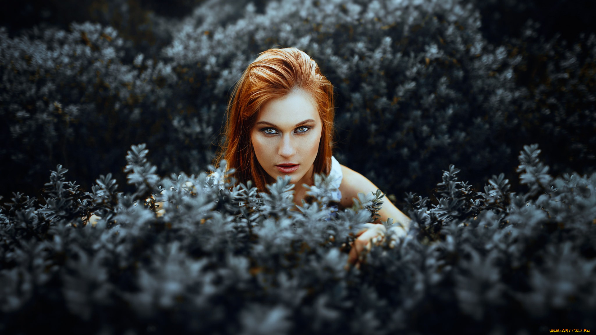 девушка, девушки, -unsort, , лица, , портреты, модель