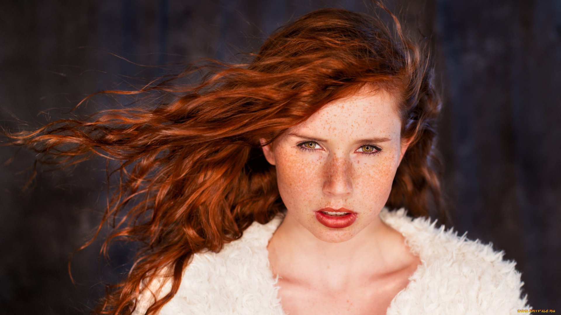 девушка, девушки, michalina, cysarz, модель, михалина, цисарц