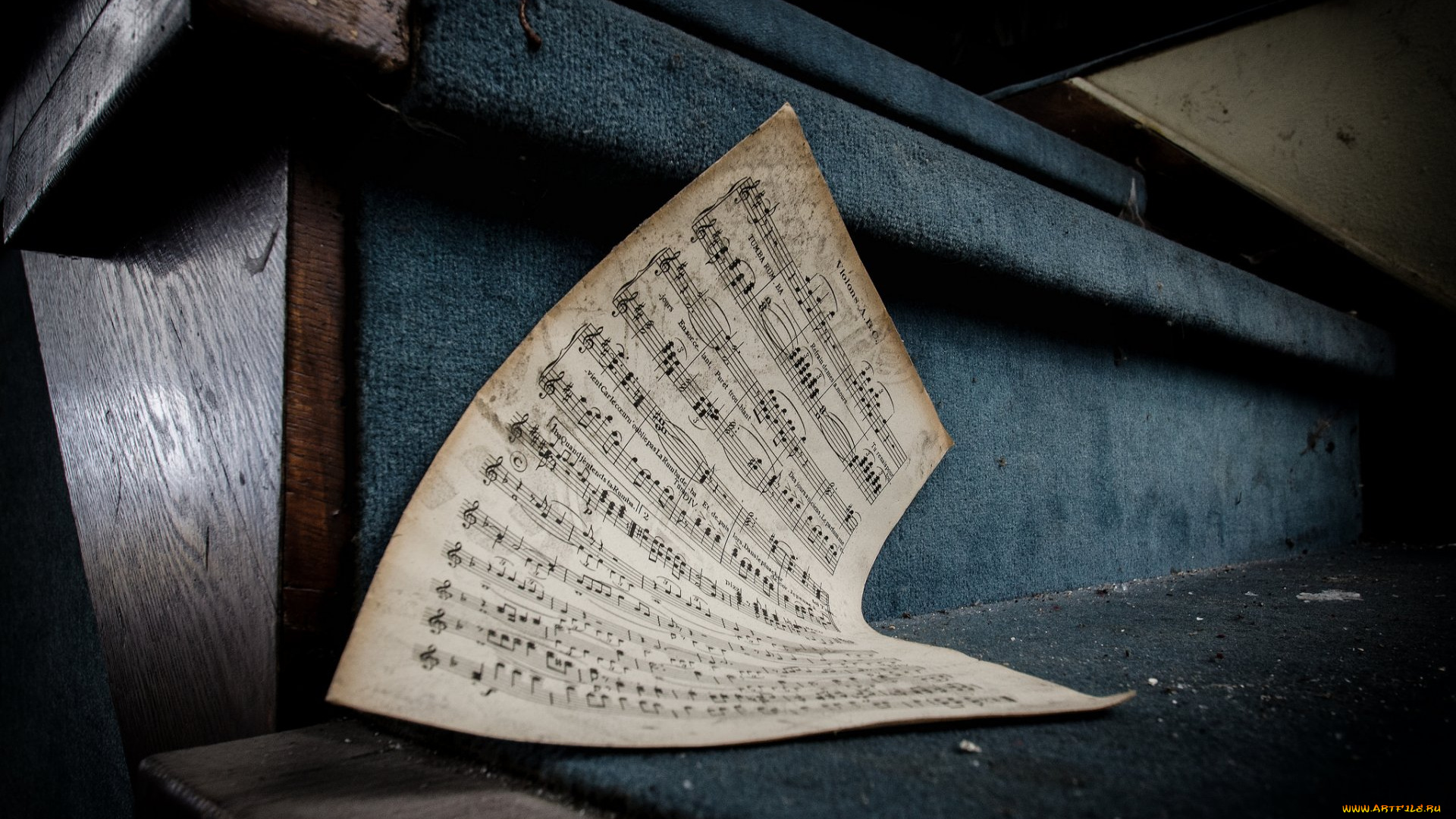 музыка, -другое, ноты