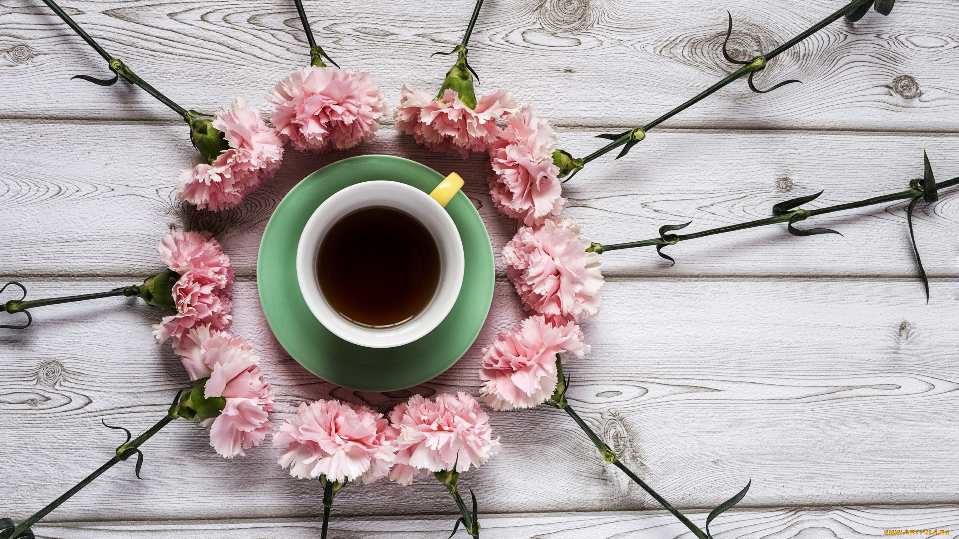 еда, напитки, , чай, гвоздика, чай, цветы