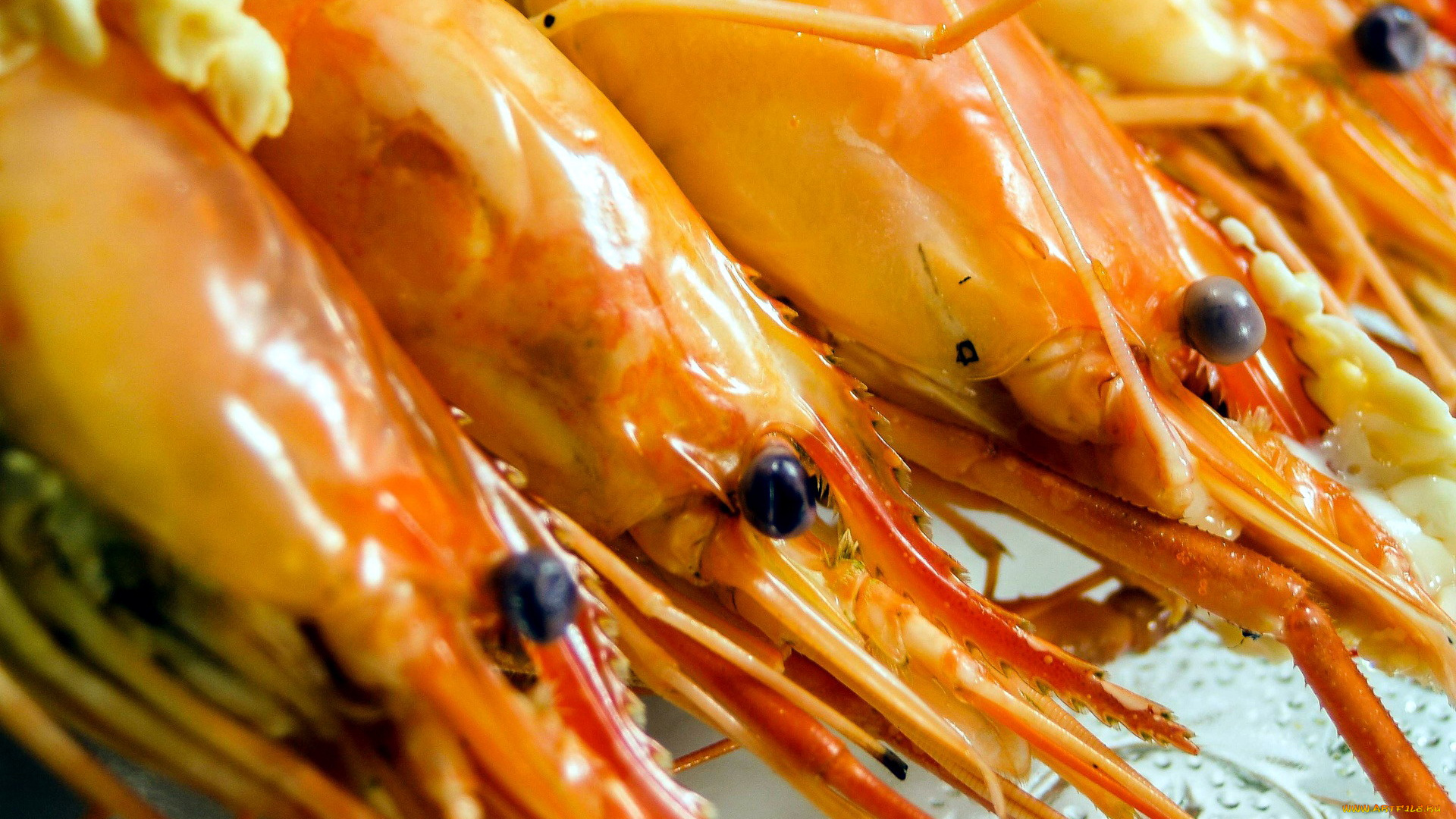 еда, рыба, , морепродукты, , суши, , роллы, креветки