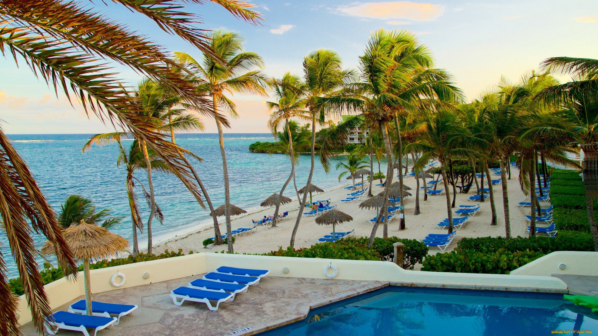 интерьер, бассейны, , открытые, площадки, пальмы, море, лежаки, бассйен