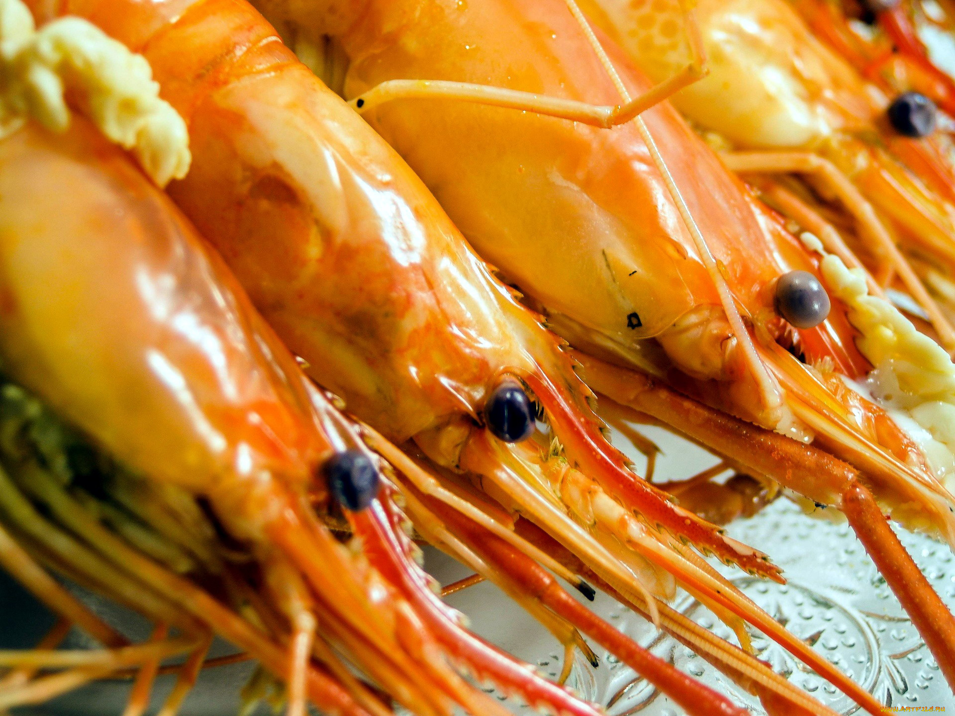 еда, рыба, , морепродукты, , суши, , роллы, креветки