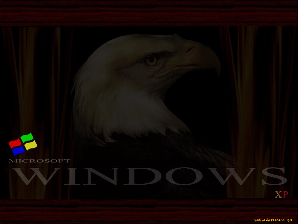 компьютеры, windows, xp