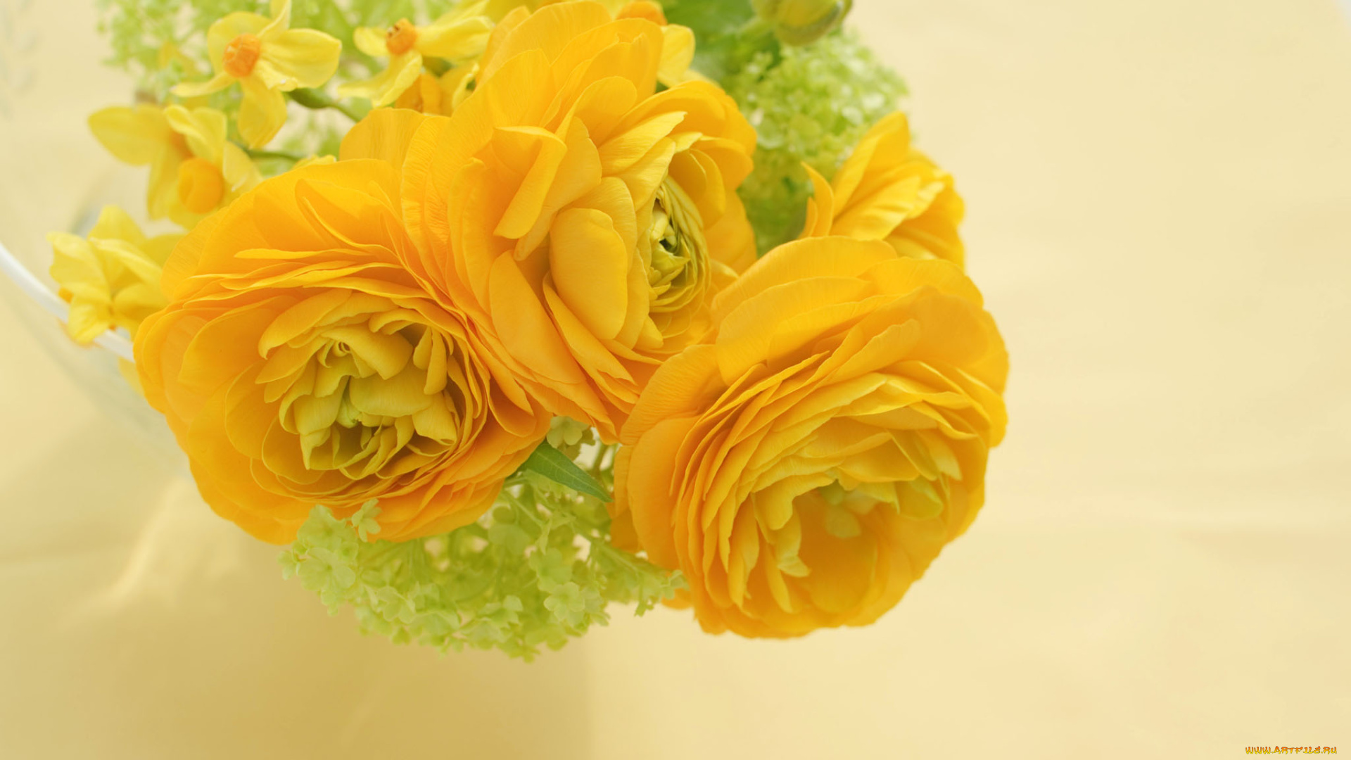 цветы, разные, вместе