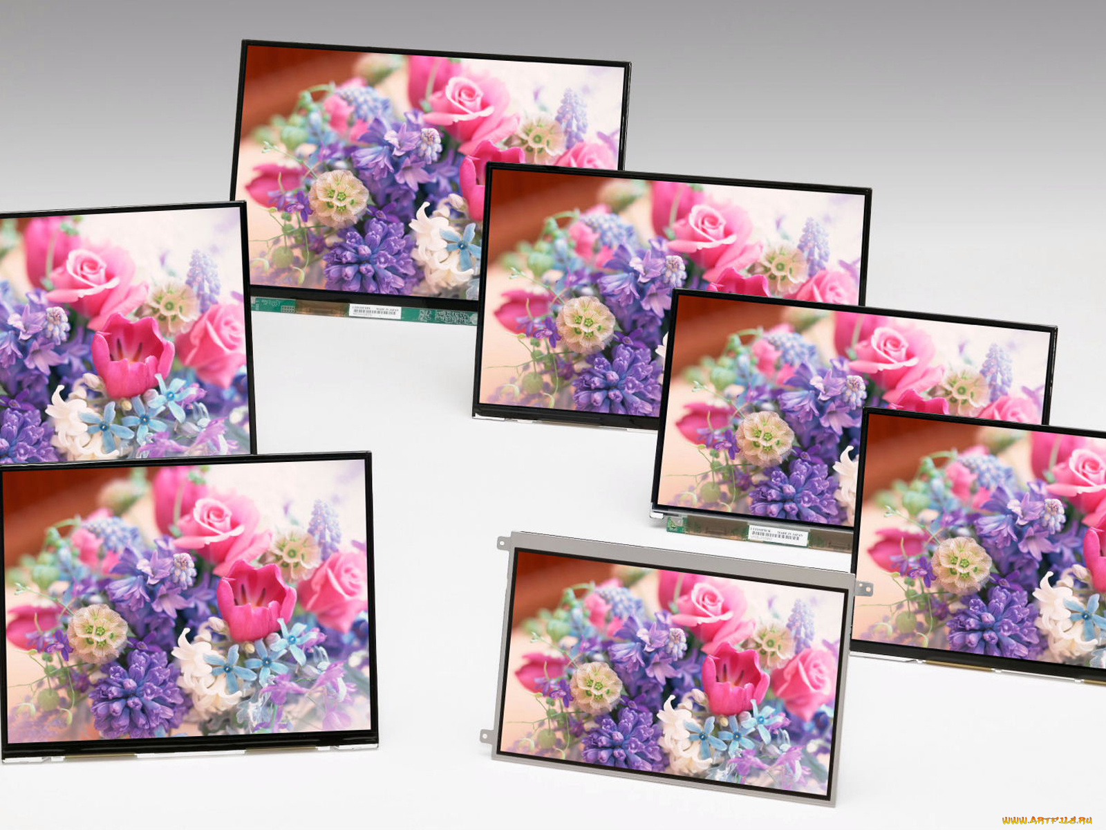 toshiba, бренды