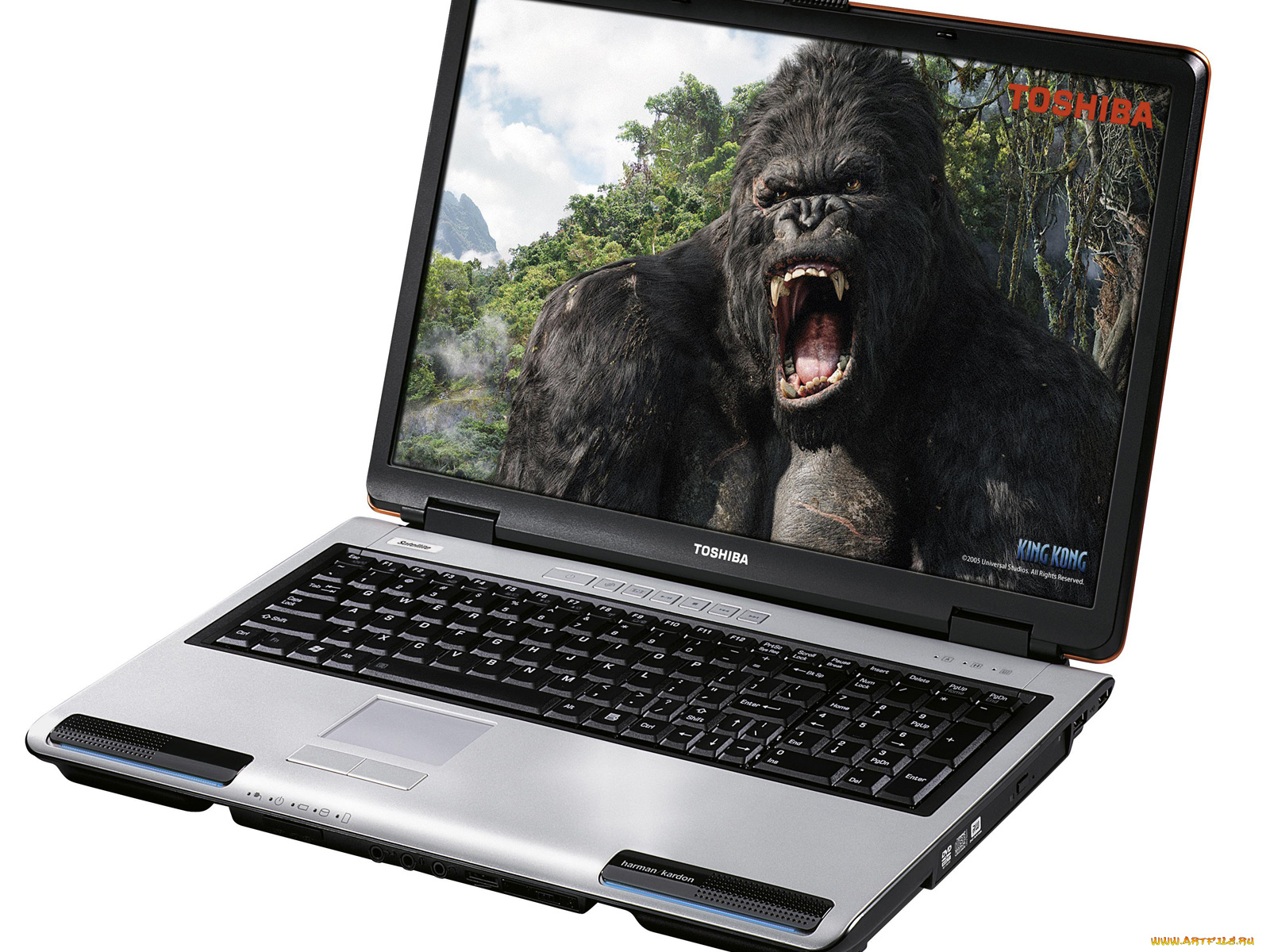 toshiba, бренды