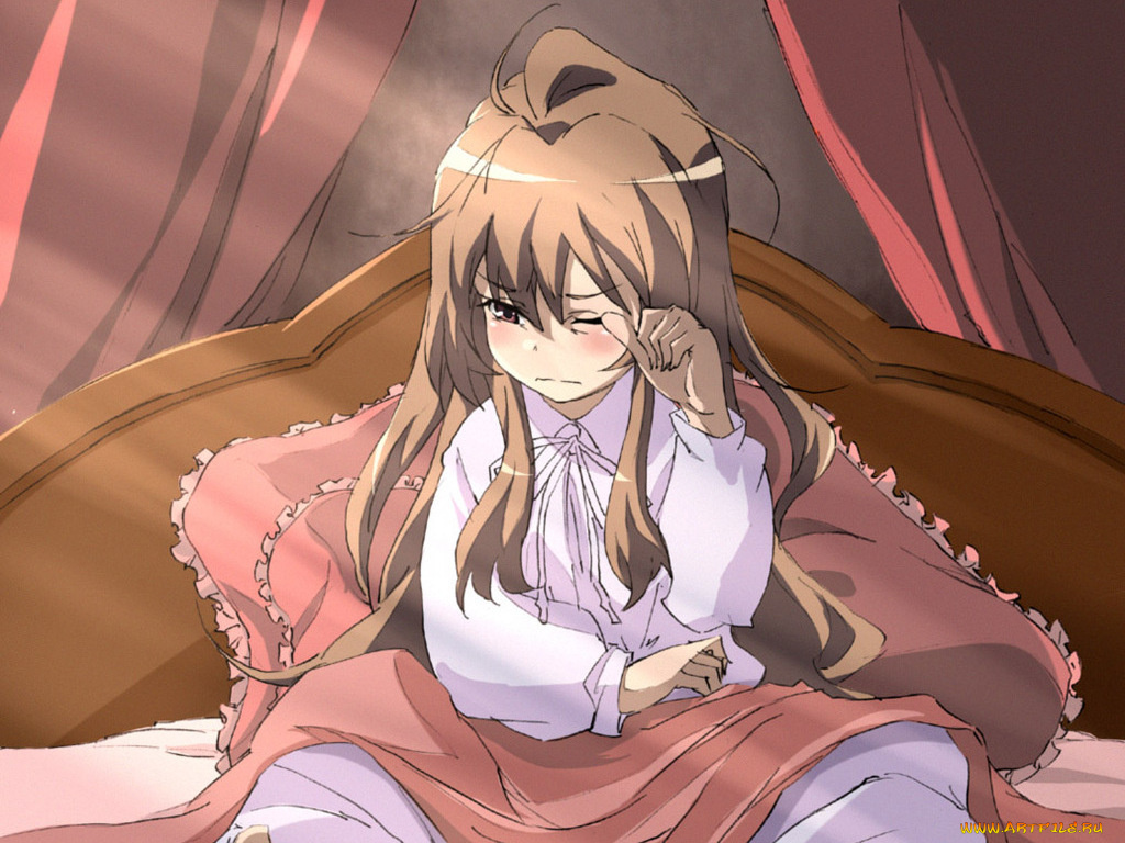 аниме, toradora