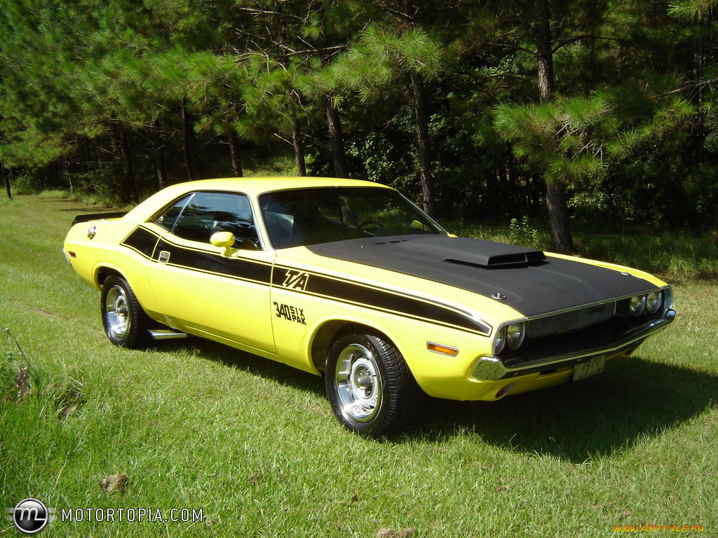 автомобили, выставки, уличные, фото