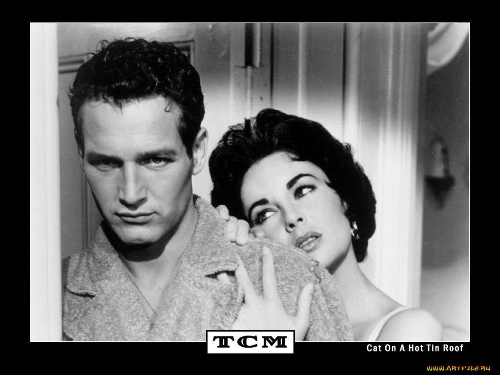 cat, on, hot, tin, roof, кино, фильмы