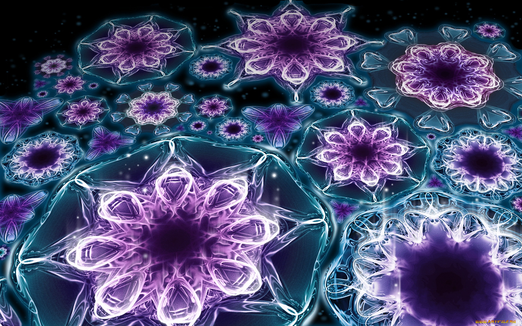 3д, графика, flowers, цветы