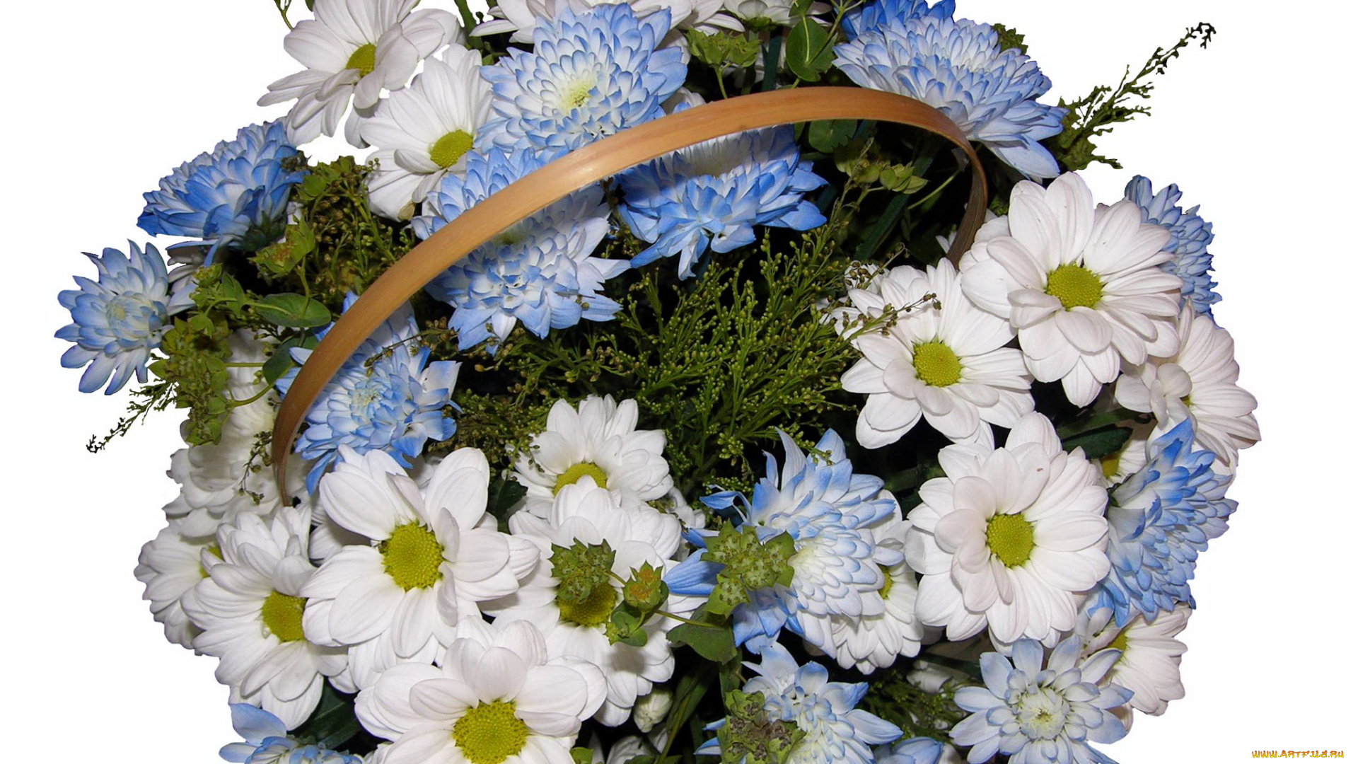 цветы, хризантемы, букет, корзина