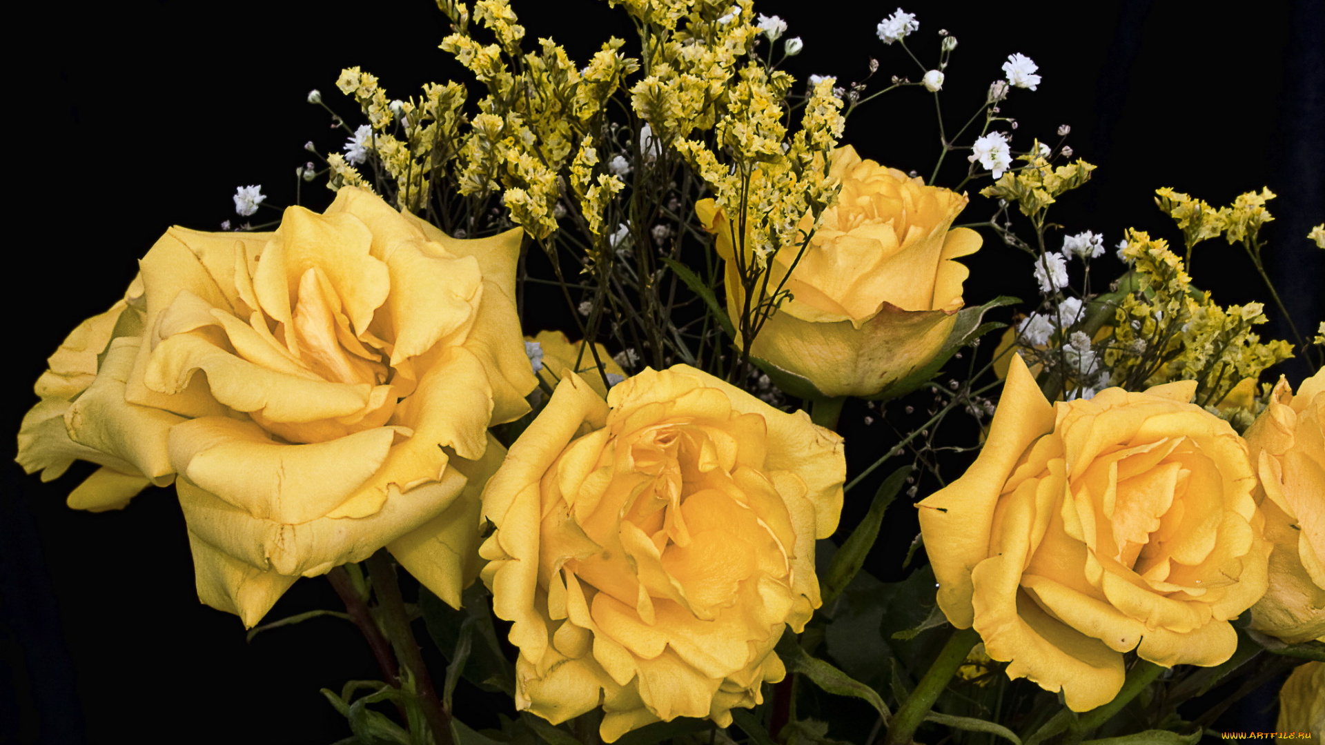 цветы, розы, букет