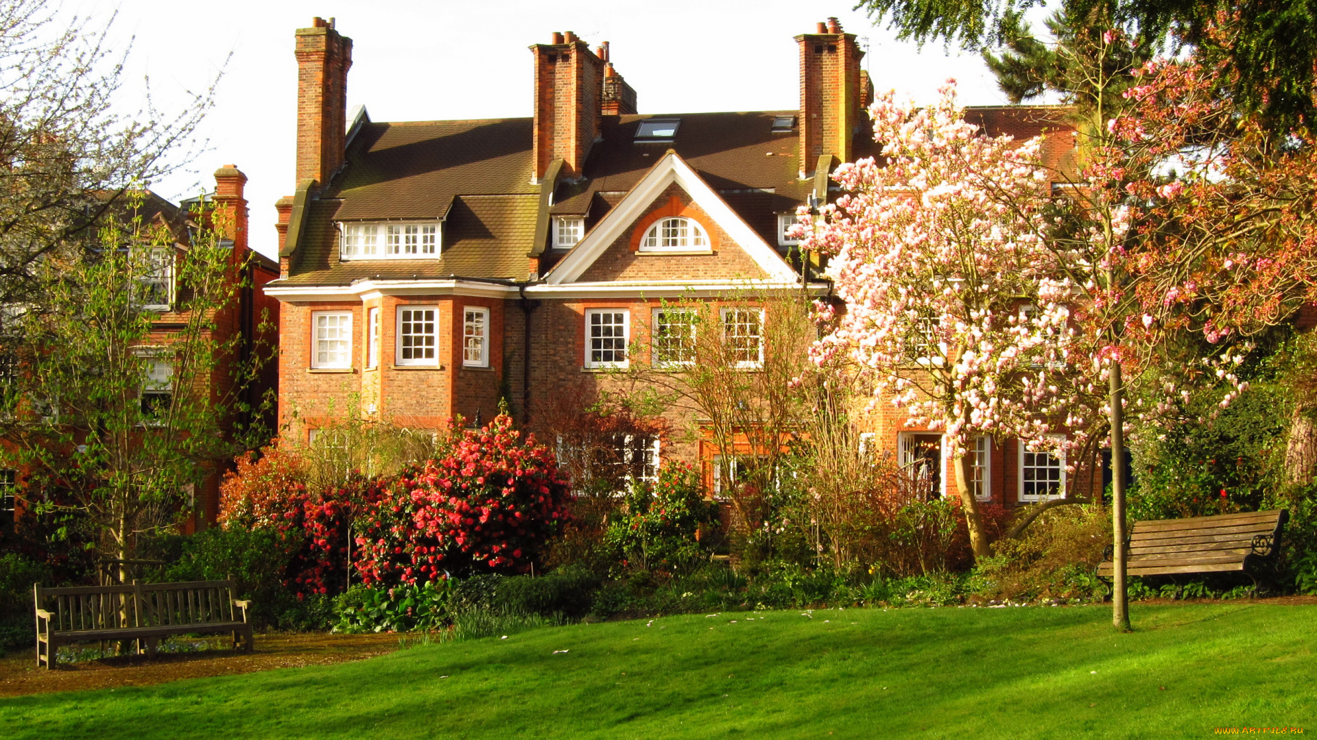 hampstead, london, england, города, здания, дома, деревья, цветы, трава