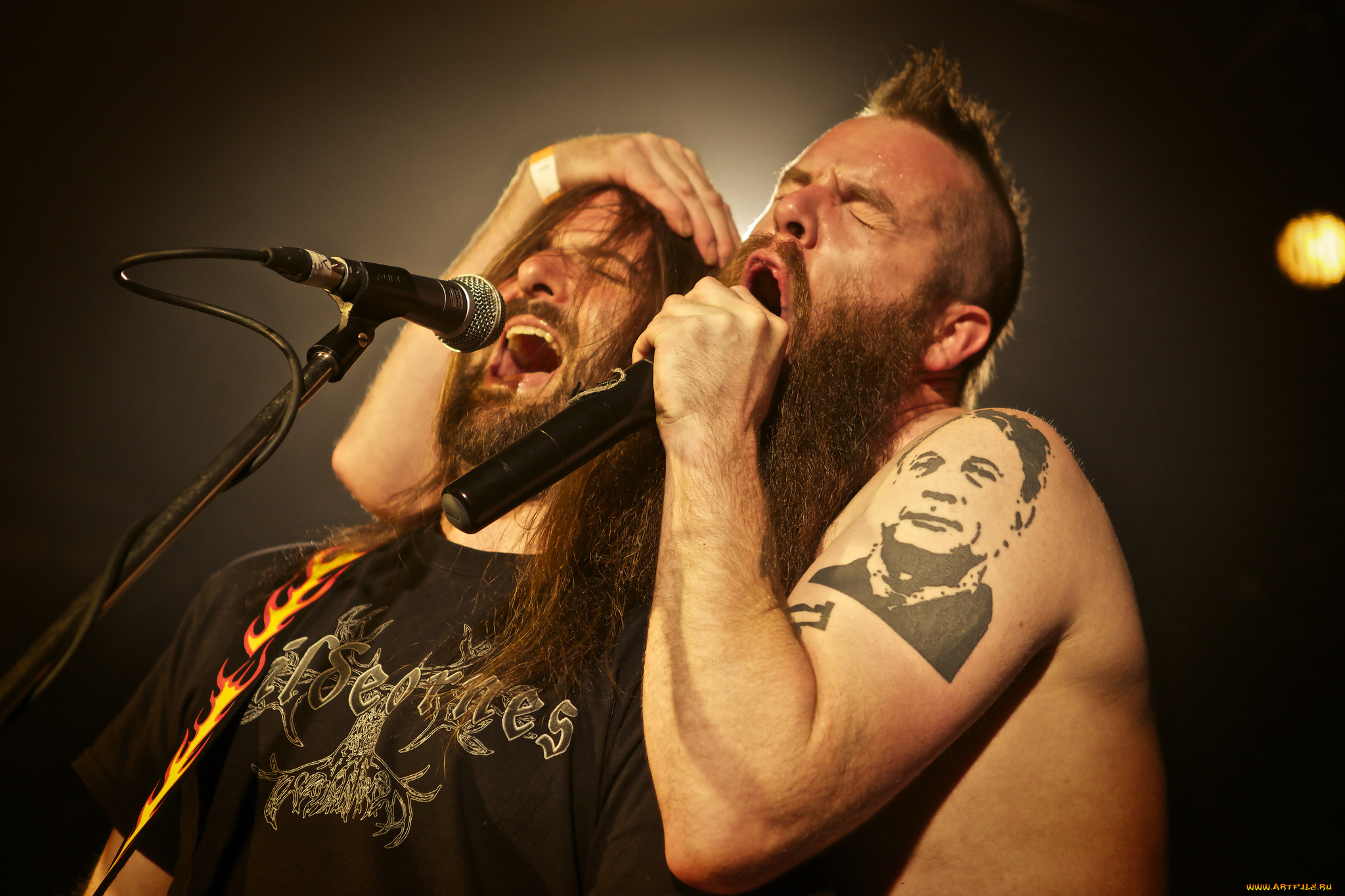 frankenbok, музыка, другое, микрофон, heavy, metal, australia