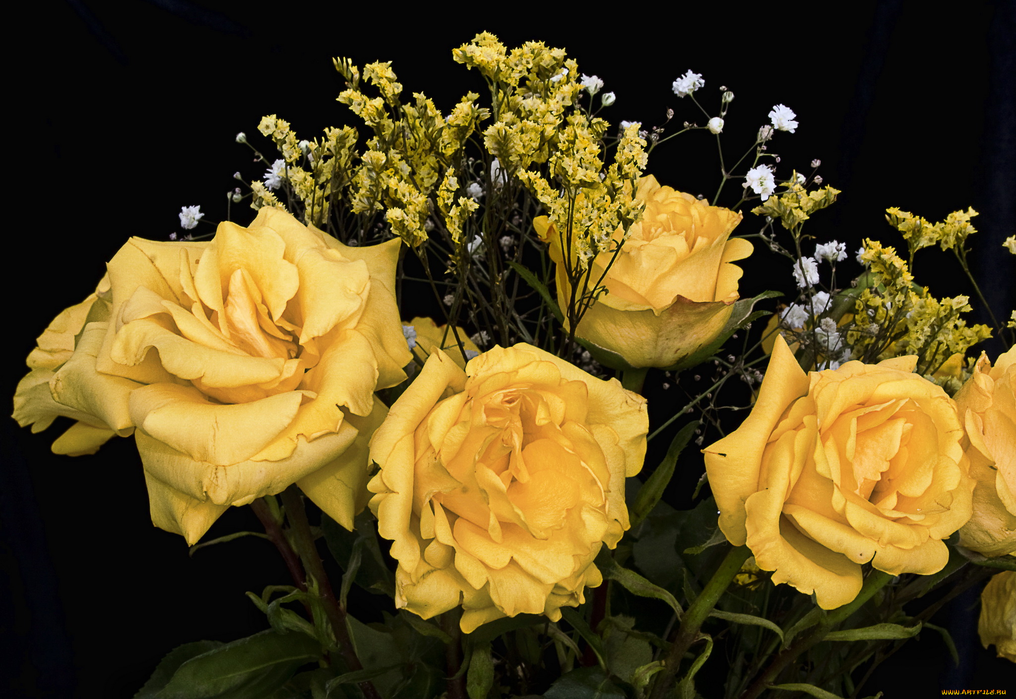 цветы, розы, букет