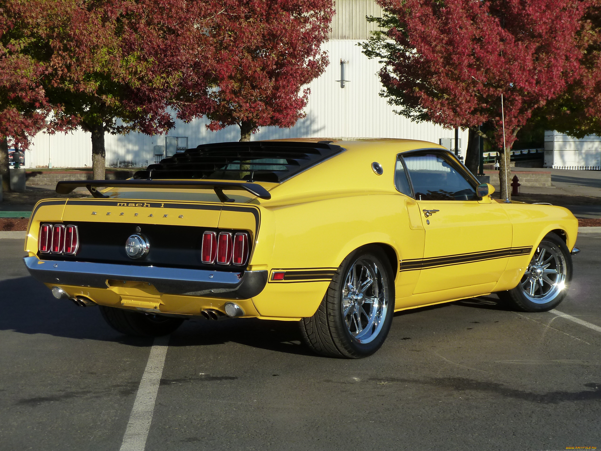 автомобили, mustang