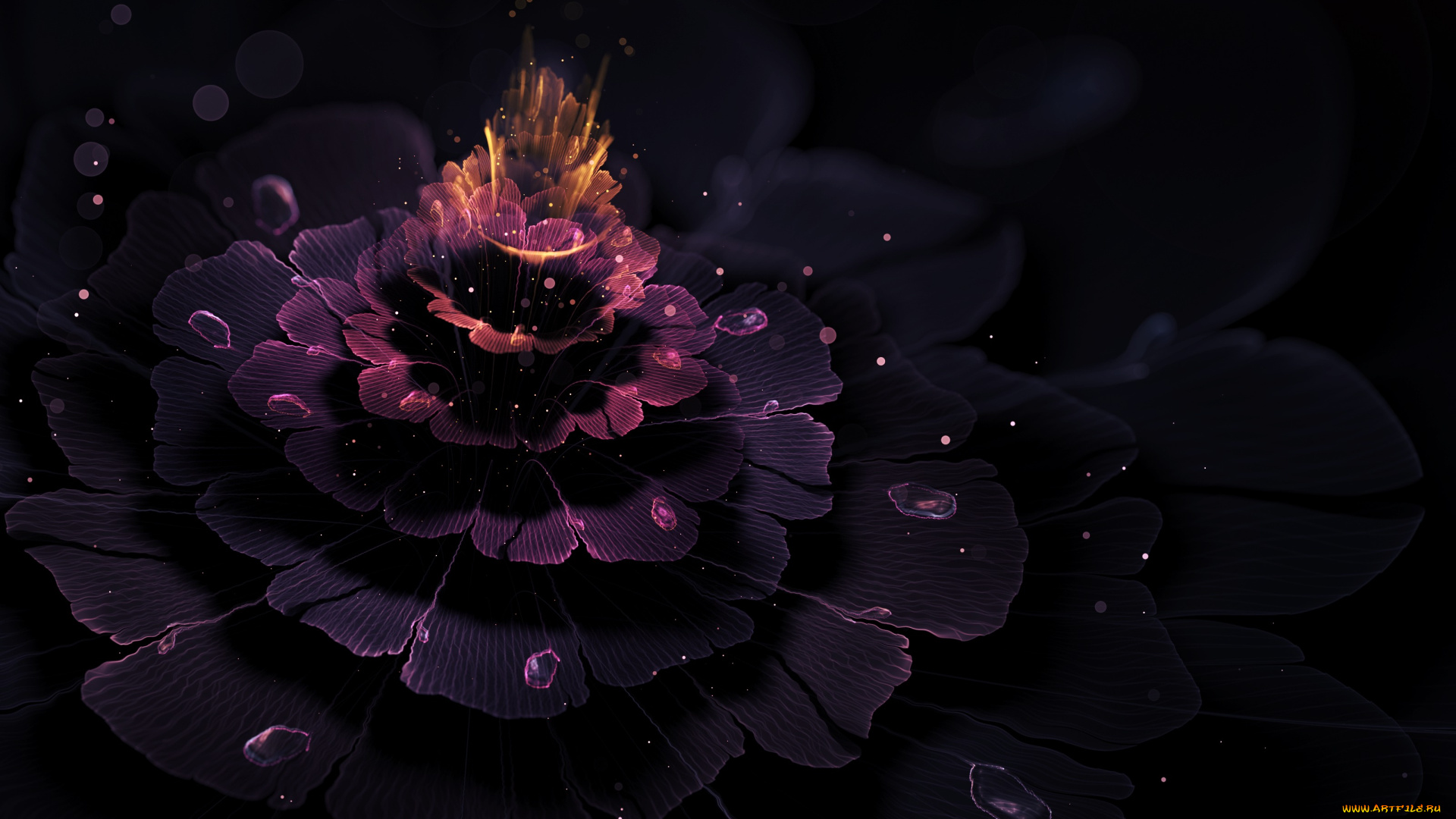 3д, графика, цветы, , flowers, цветок, слои, лепестки, взрыв, свет, капли