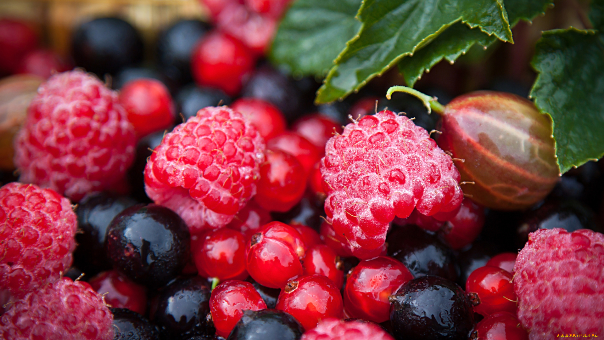 еда, фрукты, , ягоды, крыжовник, клубника, смородина, малина