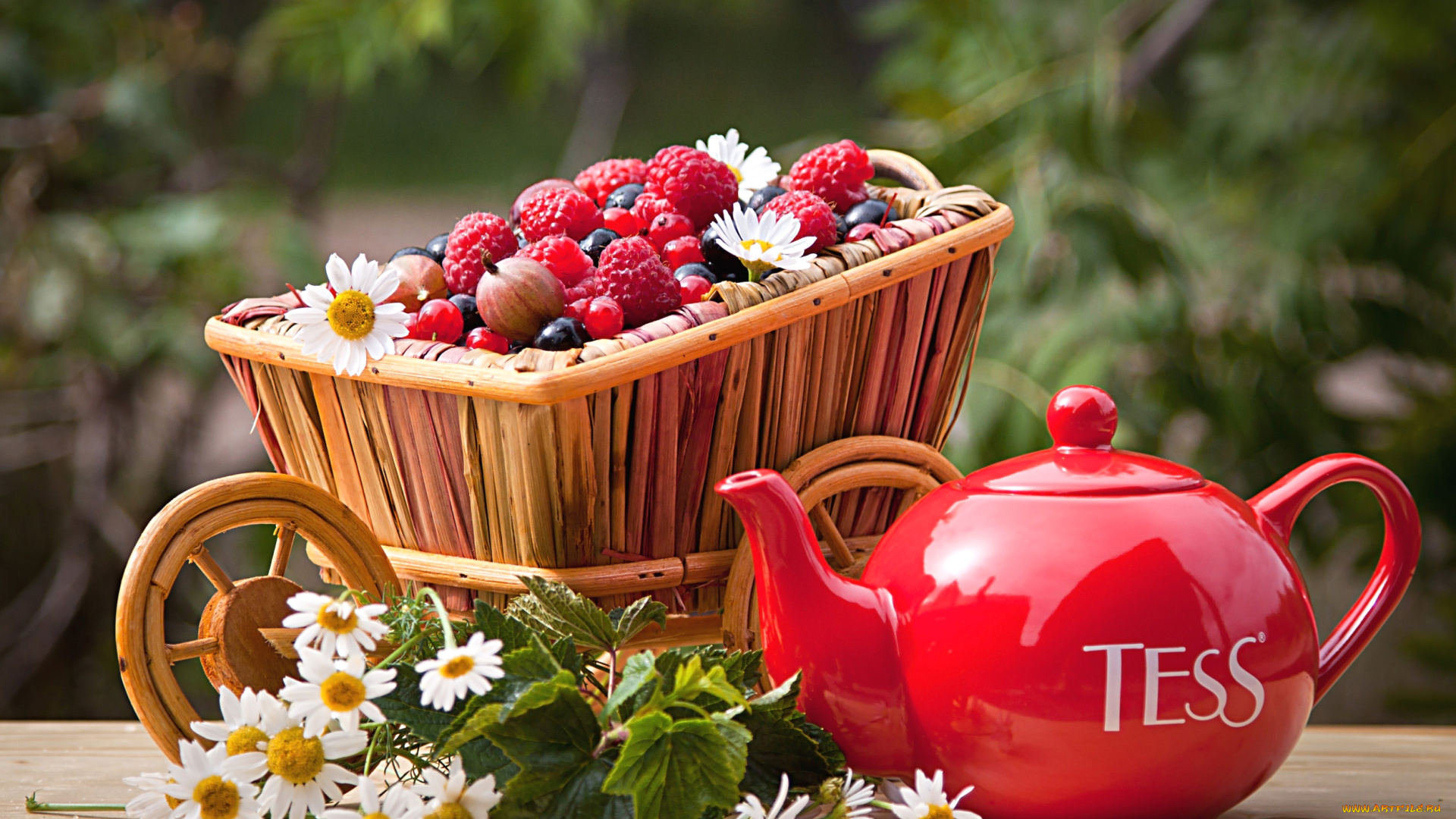 еда, фрукты, , ягоды, смородина, крыжовник, малина, клубника, ромашки