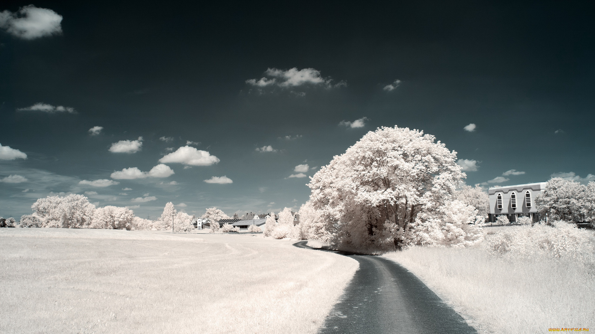 разное, компьютерный, дизайн, поле, дорога, деревья