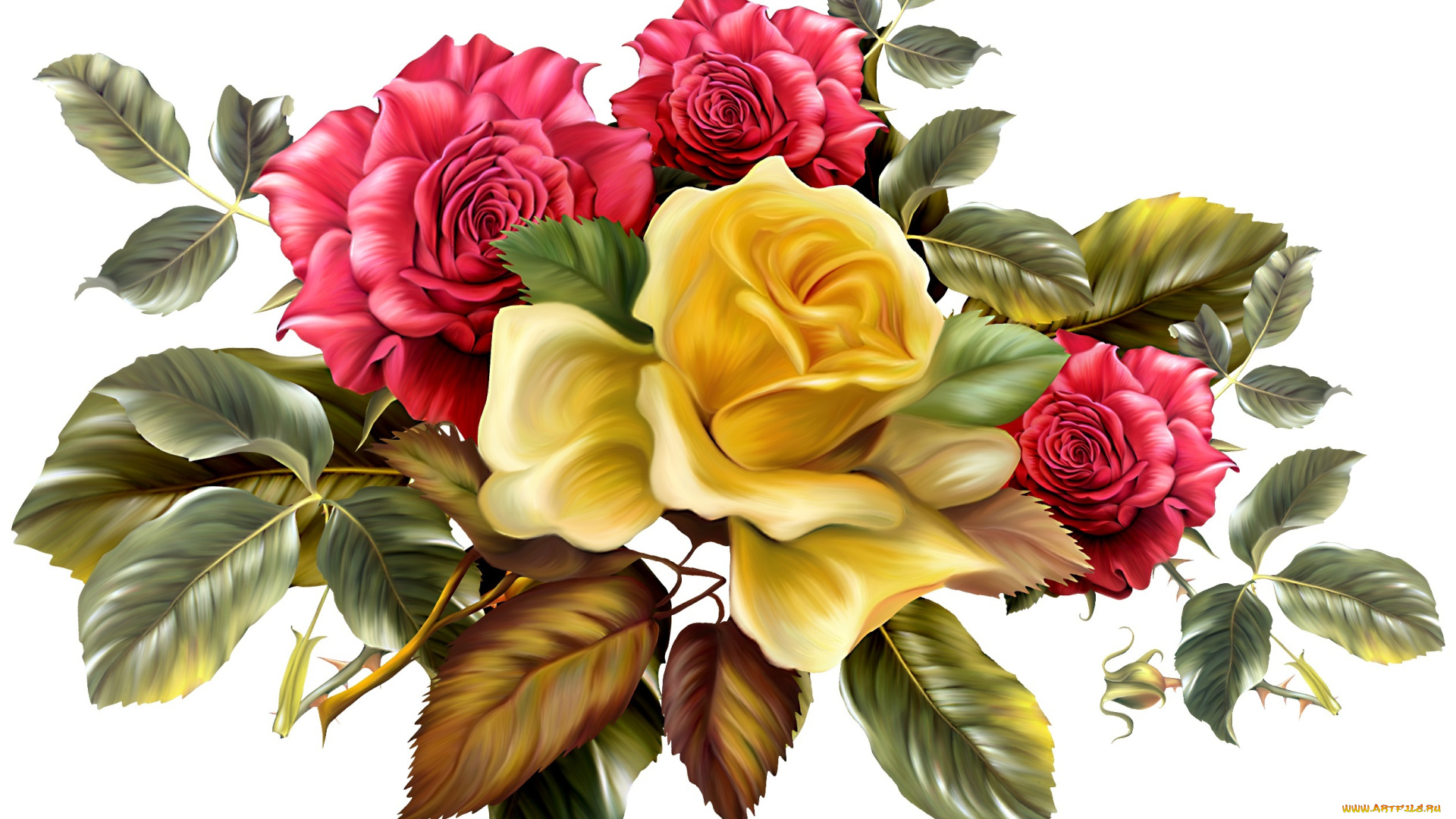рисованные, цветы, фон, розы, листья, желтые, шипы, красные, букет