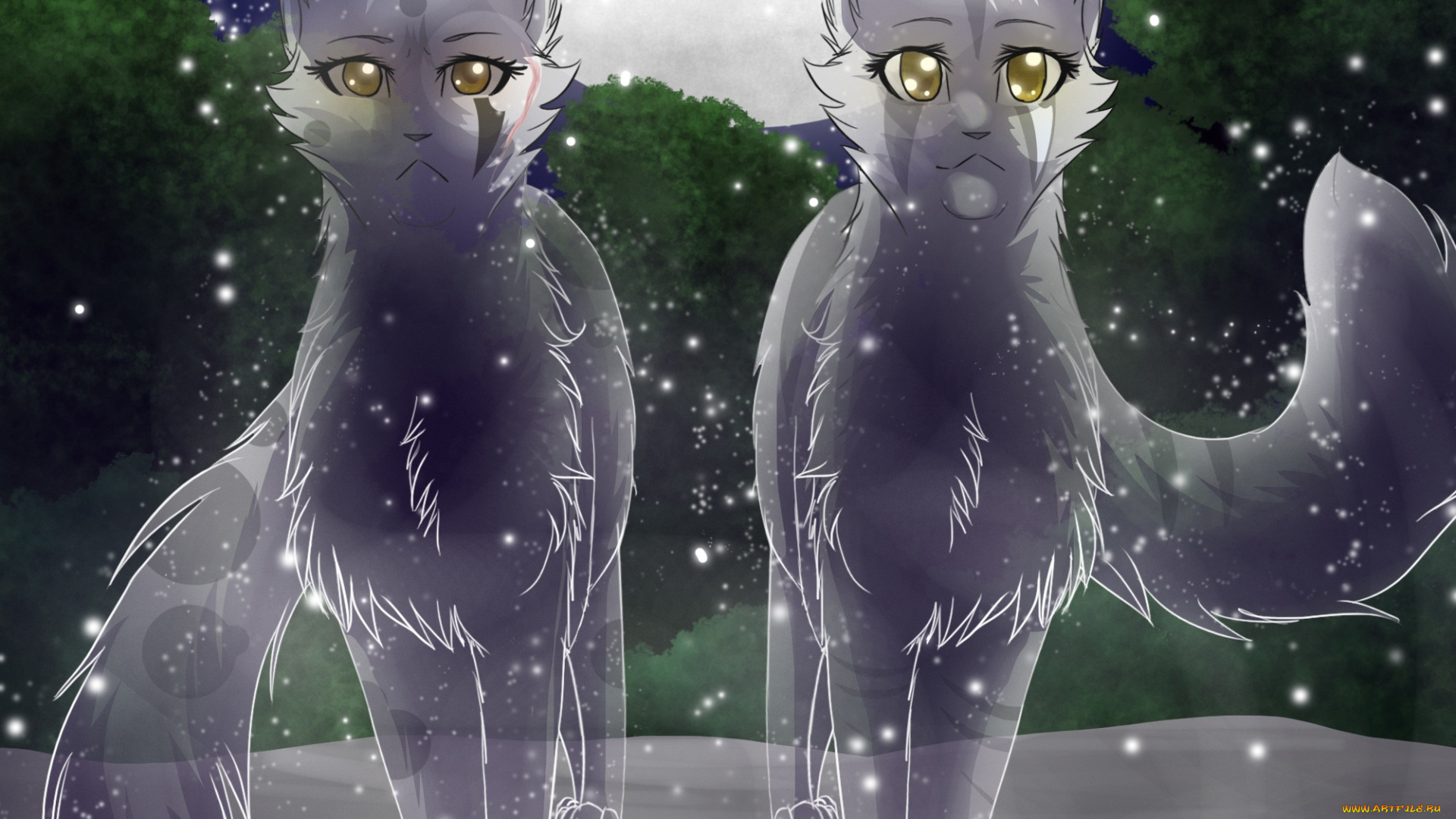 рисованные, животные, , сказочные, , мифические, прозрачные, кошки, луна, ночь