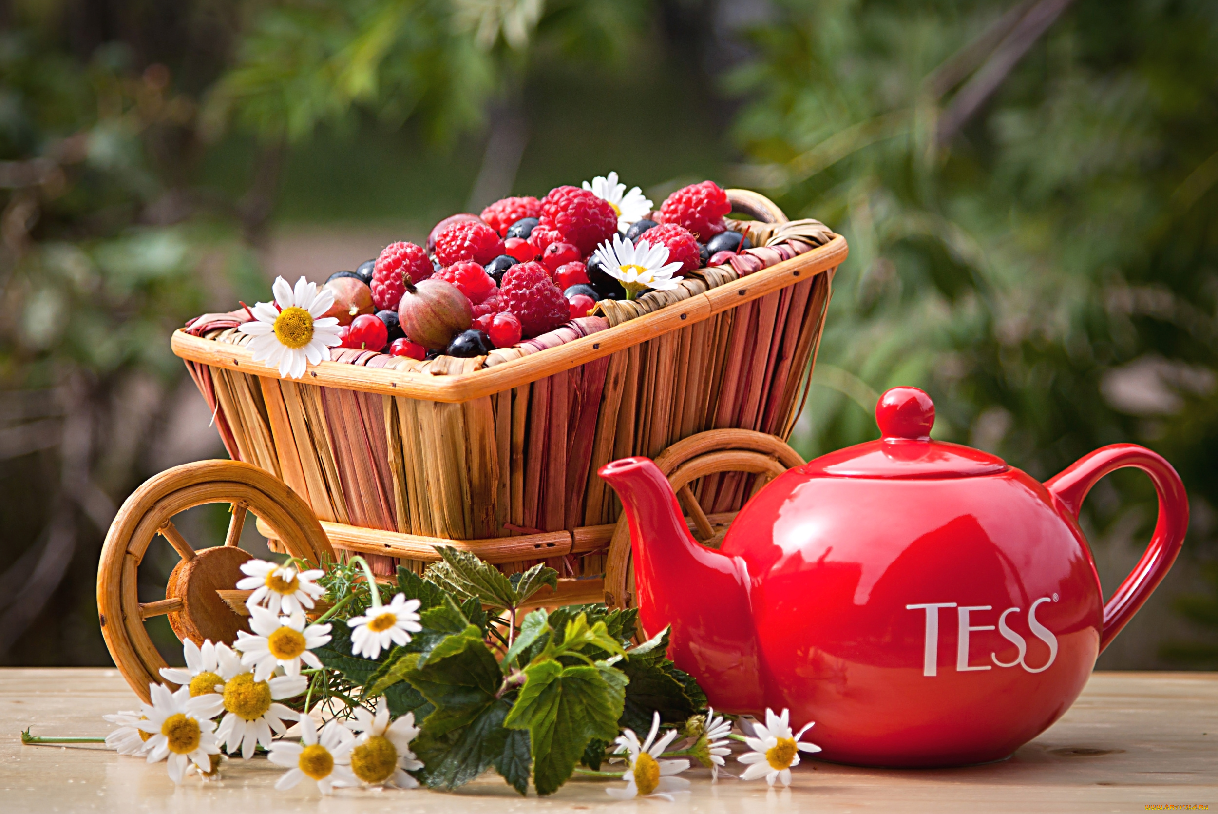 еда, фрукты, , ягоды, смородина, крыжовник, малина, клубника, ромашки