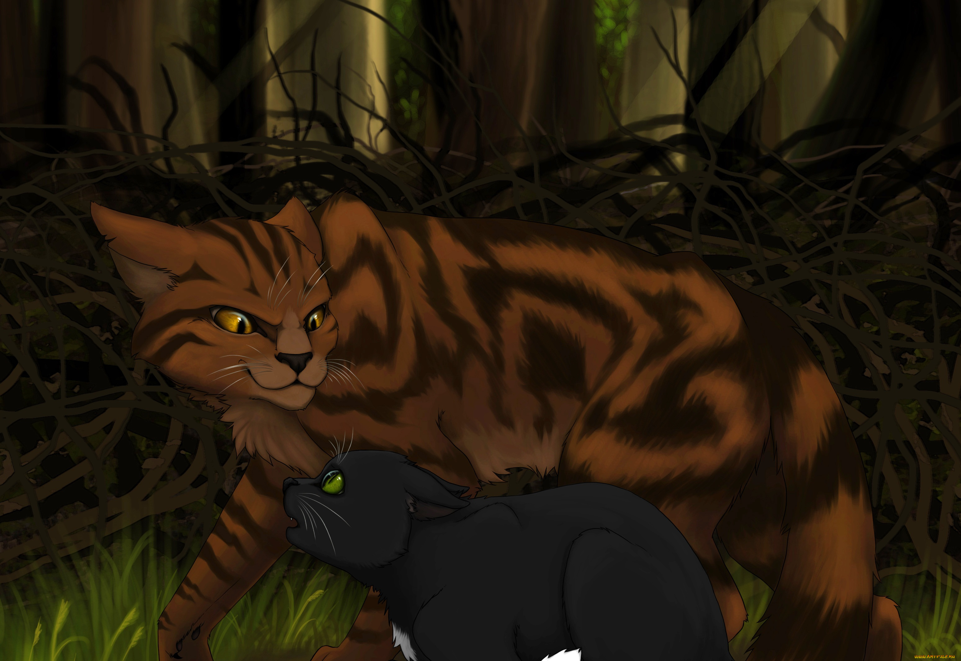 рисованные, животные, , коты, ветки, звери