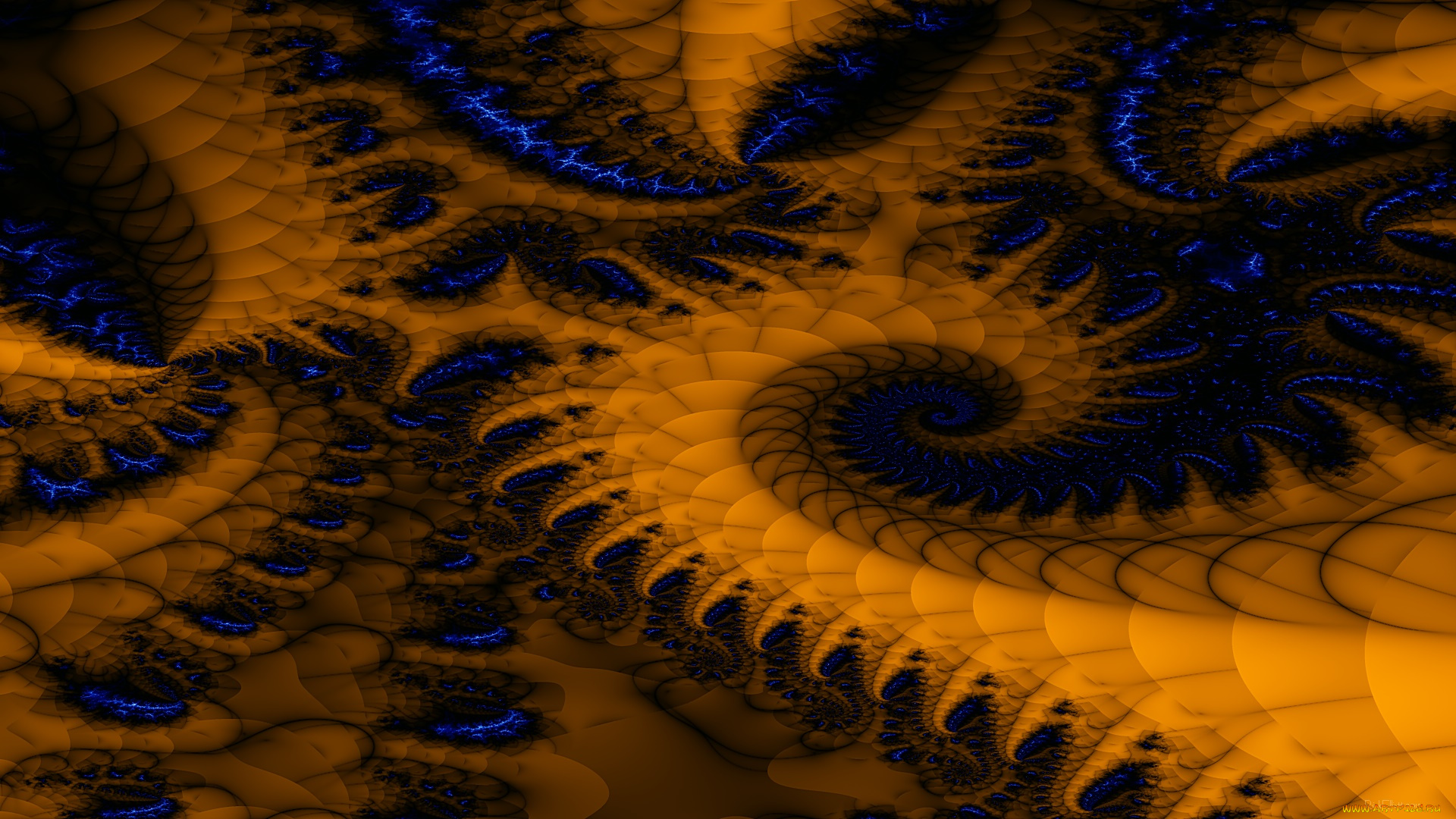 3д, графика, фракталы, , fractal, цвета, фон, узор