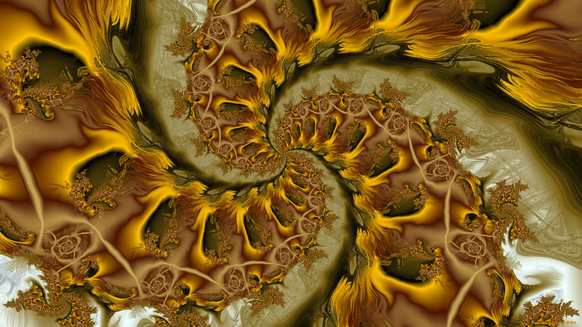 3д, графика, фракталы, , fractal, цвета, фон, узор