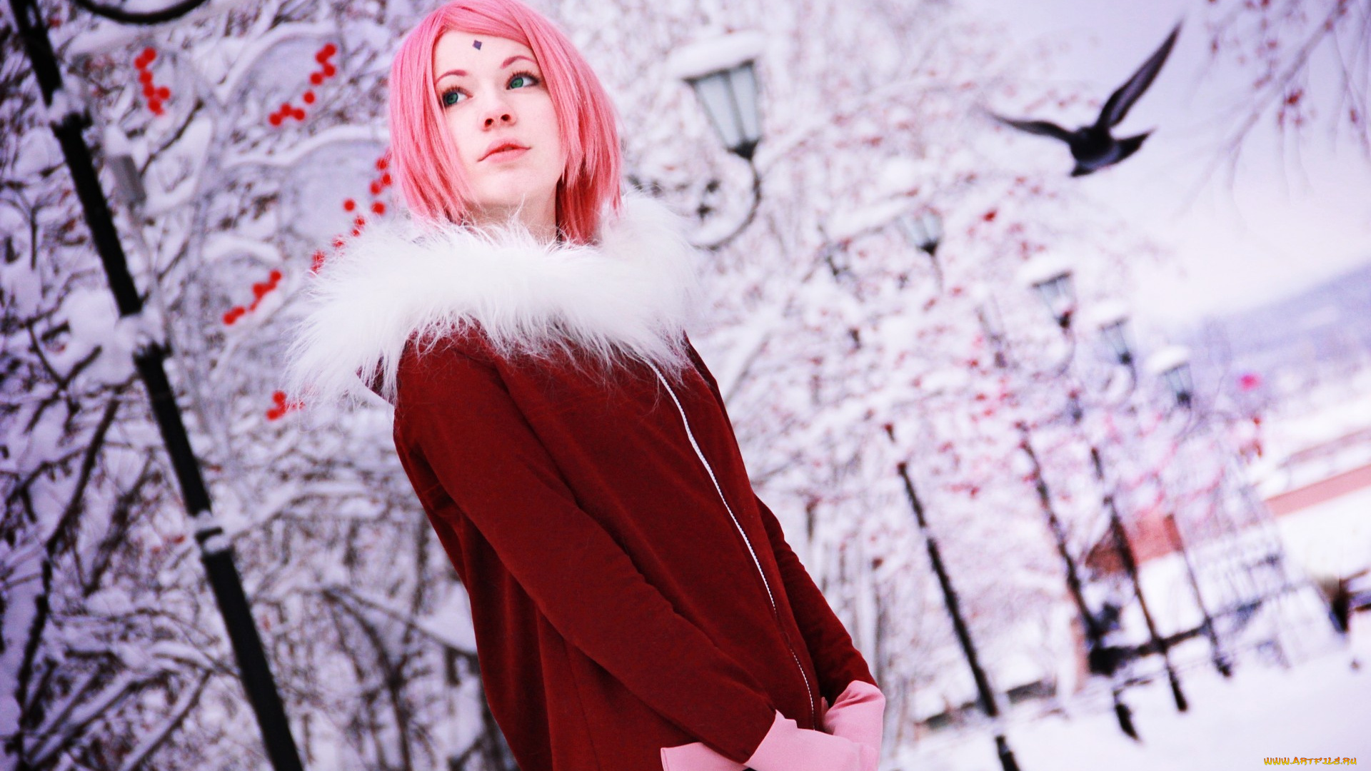 девушки, -unsort, , креатив, рябина, снег, зима, sakura, haruno, naruto, cosplay, seliverstova, ксения, селиверстова