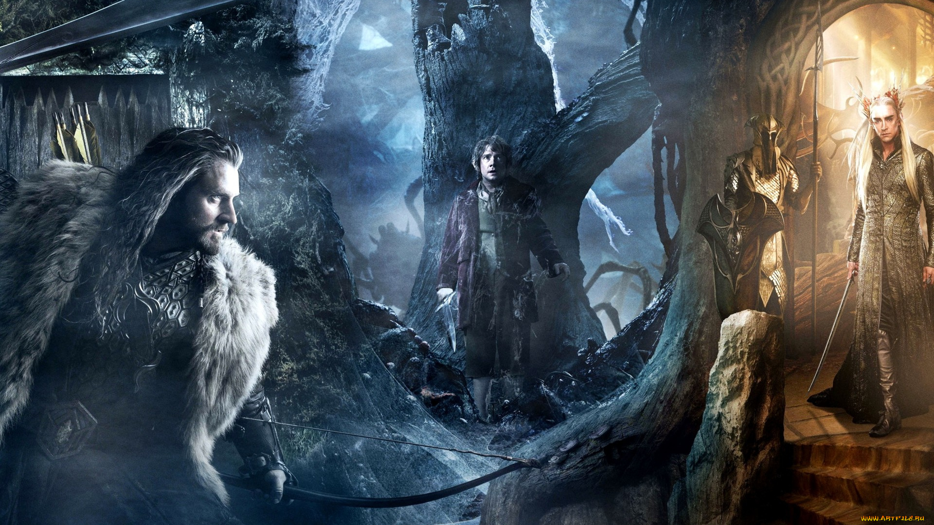 кино, фильмы, the, hobbit, , the, desolation, of, smaug, пустошь, смауга, трандуил, бильбо, торин, оукеншильд