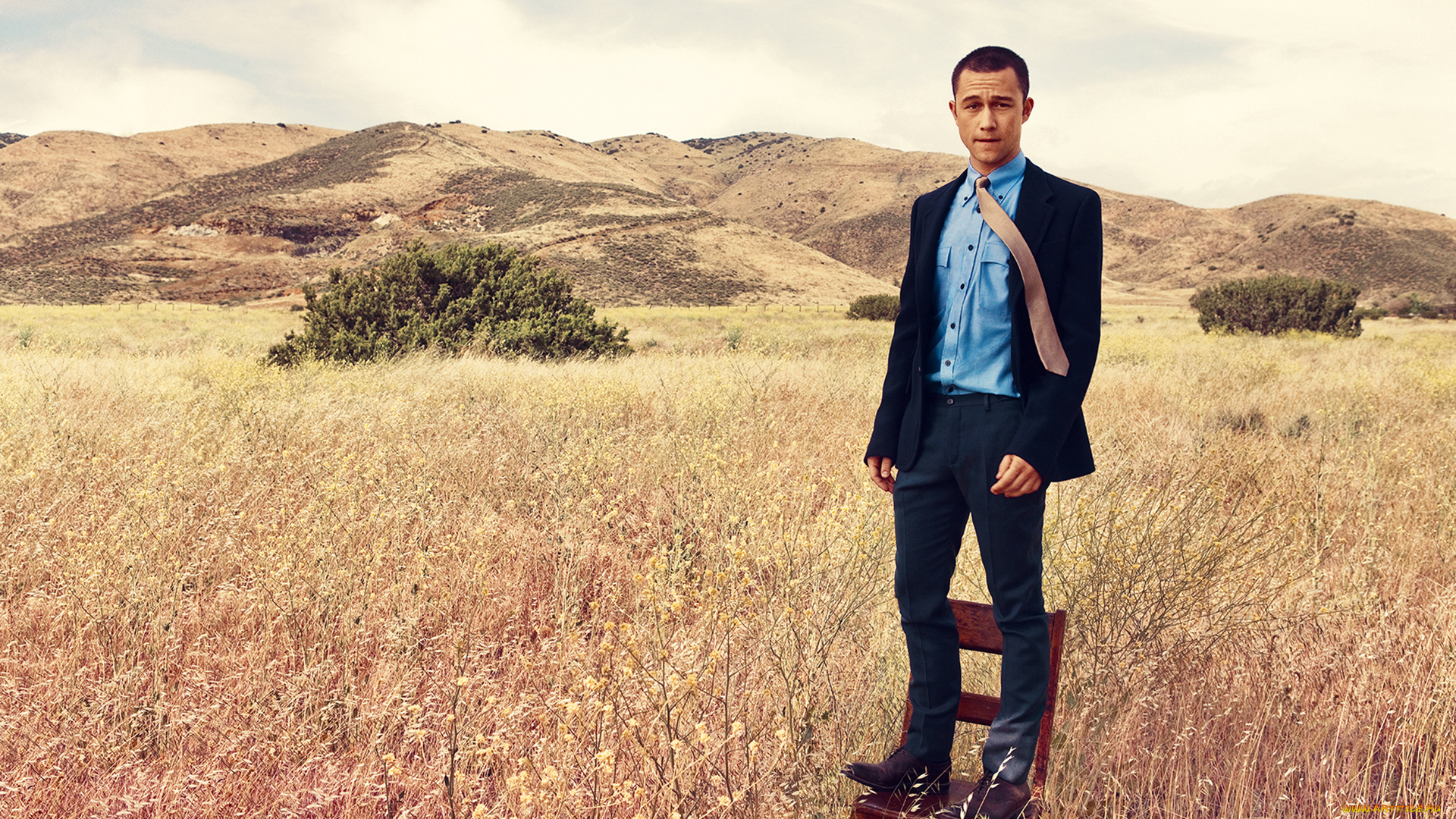 мужчины, joseph, gordon-levitt, джозеф, гордон-левитт, joseph, gordon-levitt, актер, стул, костюм, поле, трава, кусты, холмы, фотосессия, журнал, details, фотограф, norman, jean, roy