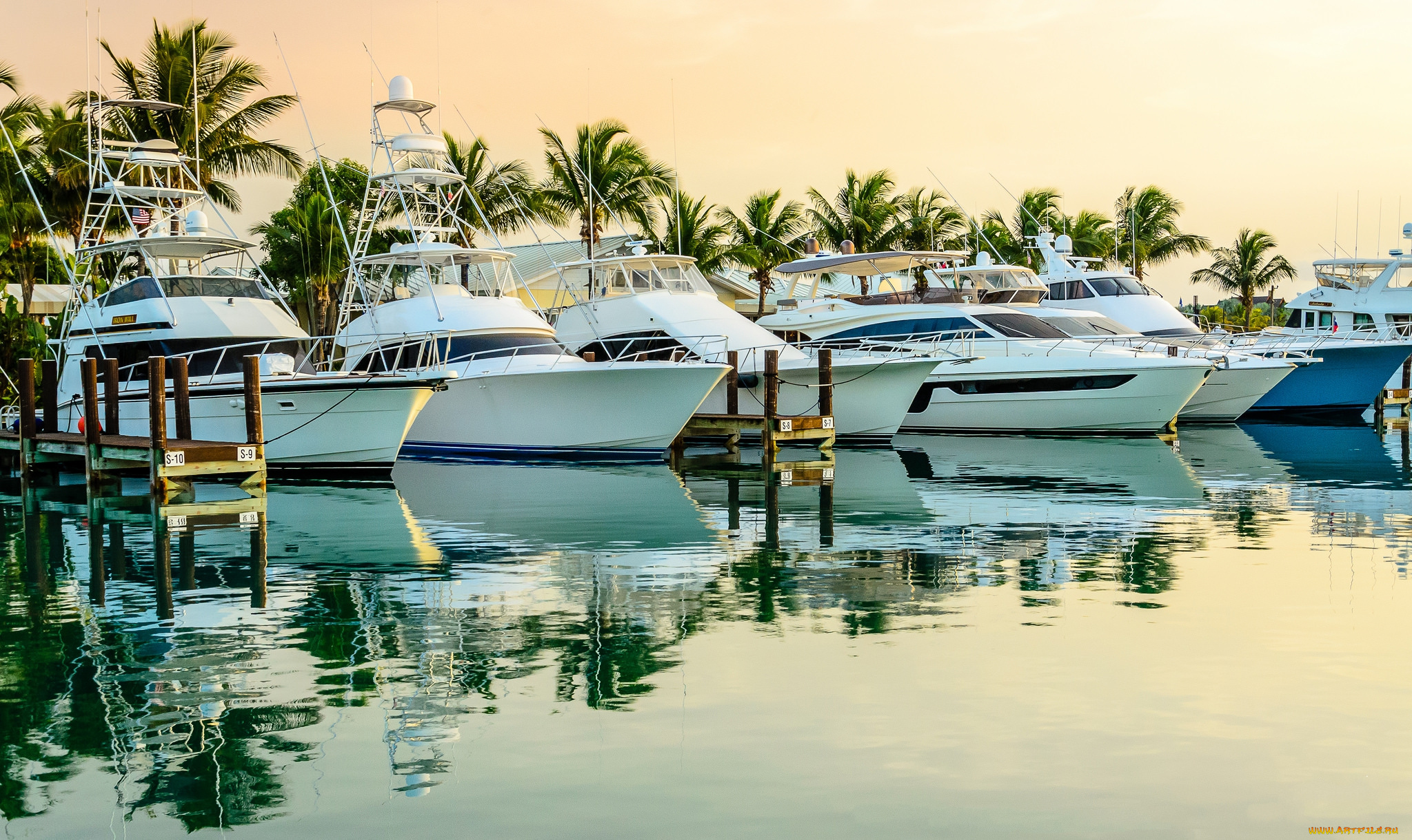 корабли, Яхты, тропики, яхта, океан