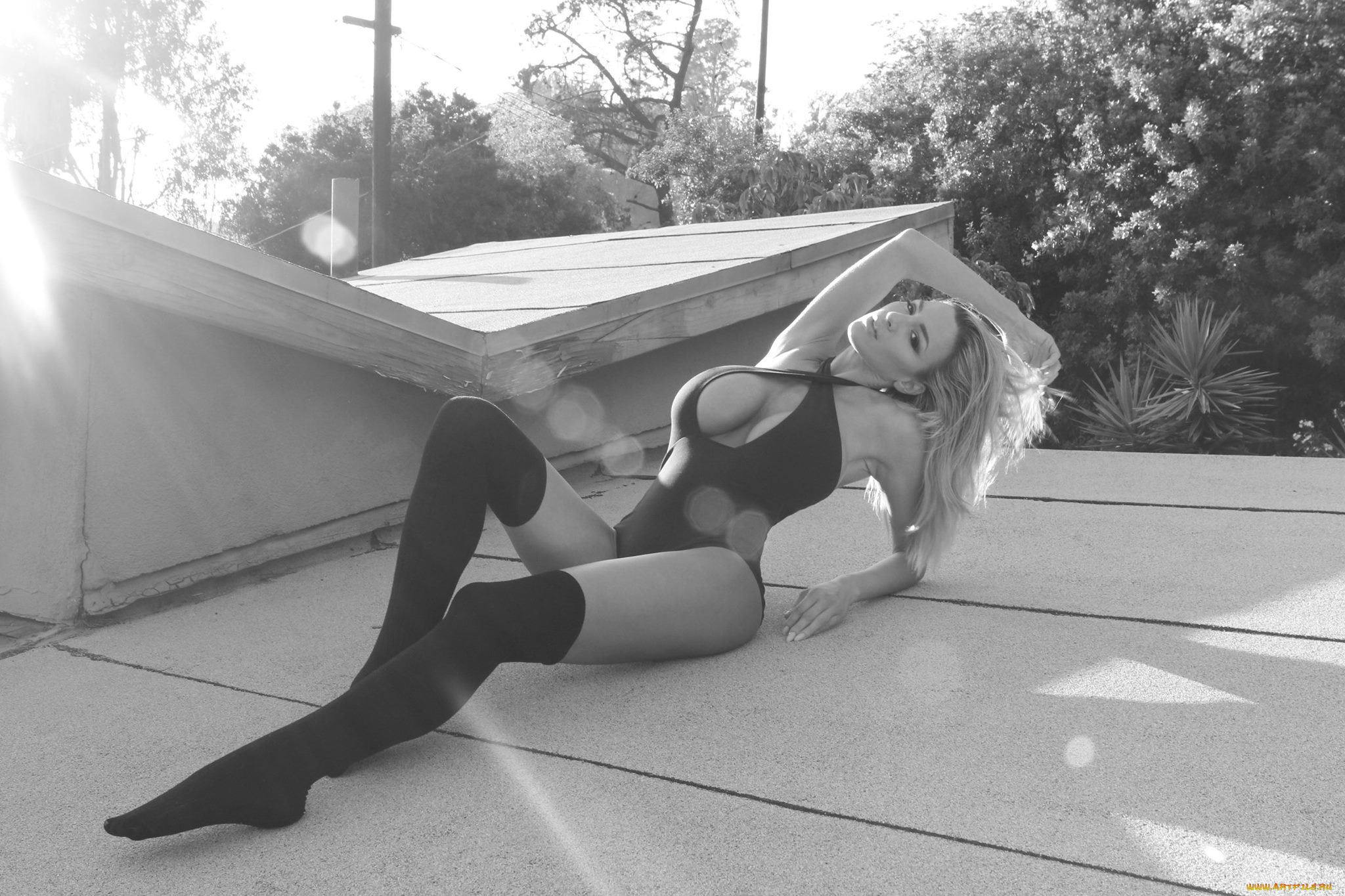 девушки, jordan, carver, jordan, carver, блондинка, поза, купальник, чулки, взгляд