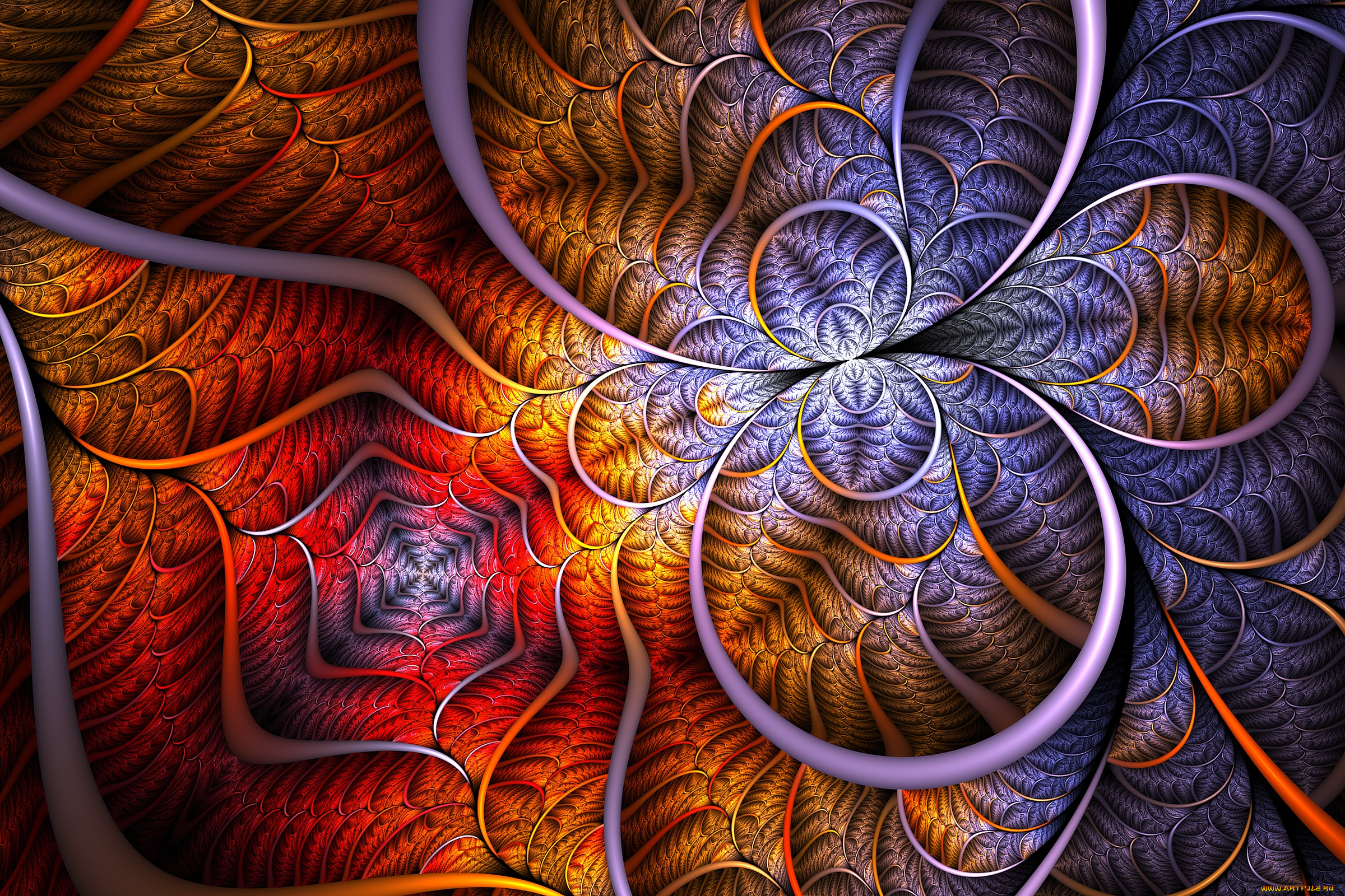 3д, графика, фракталы, , fractal, цвета, узор, фон