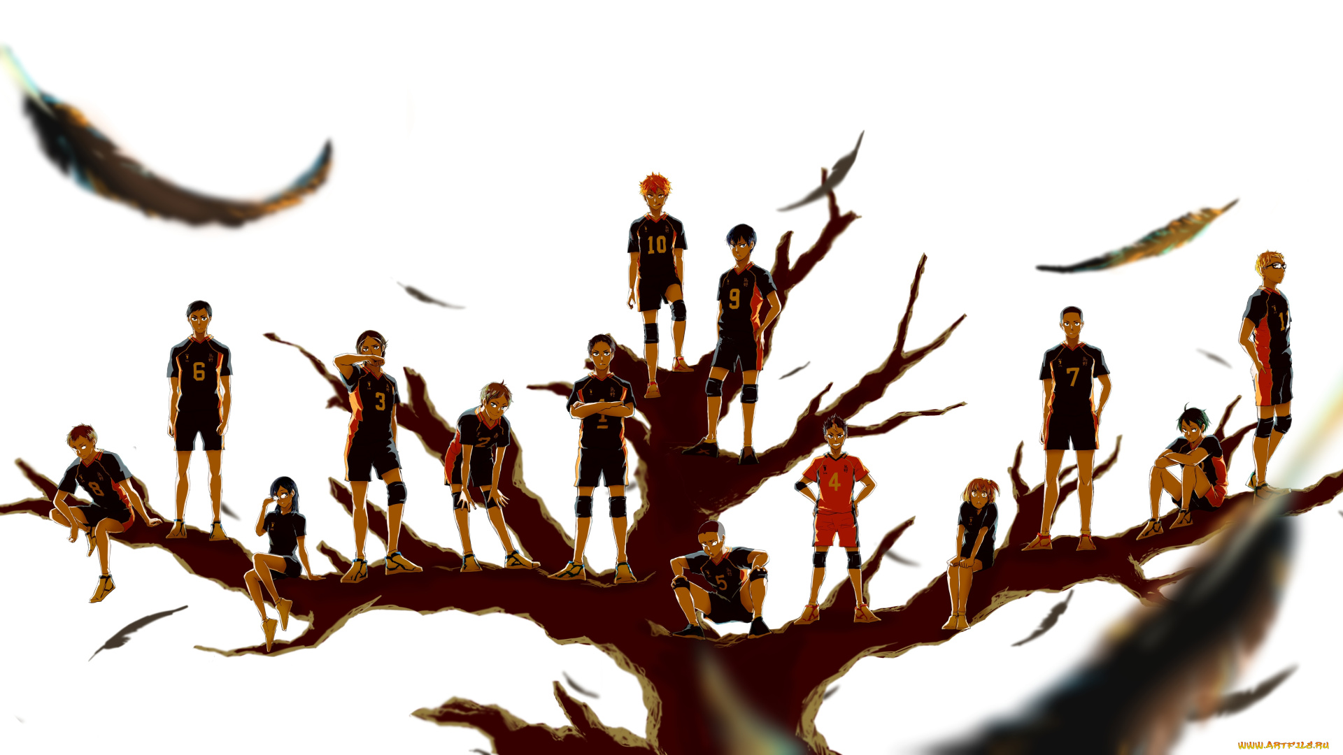 аниме, haikyuu, волейбол