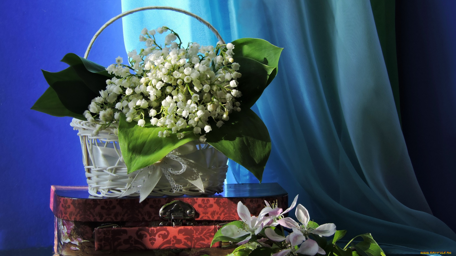 цветы, букеты, , композиции, натюрморт, весна, композиция, корзинка, ландыши, свет, фото