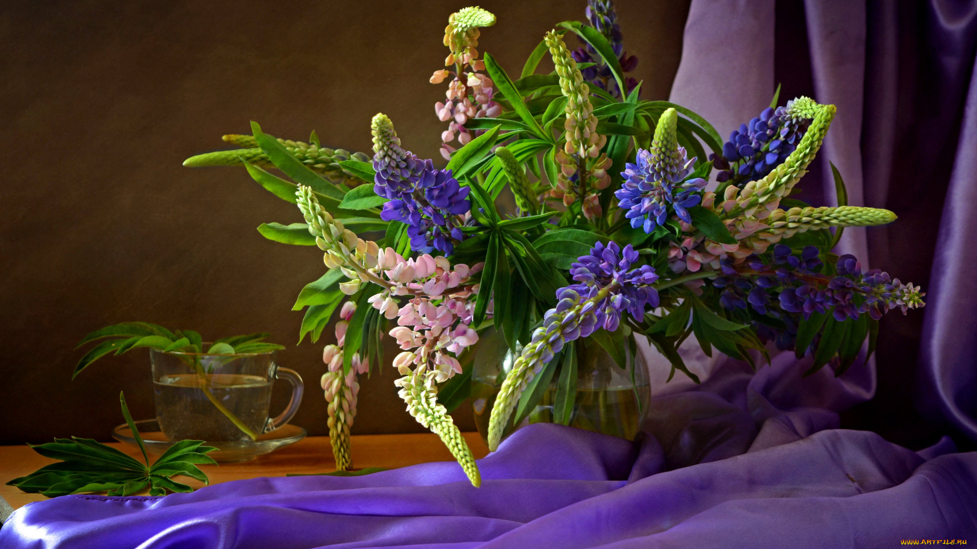 цветы, люпин, букет, натюрморт, люпины, композиция