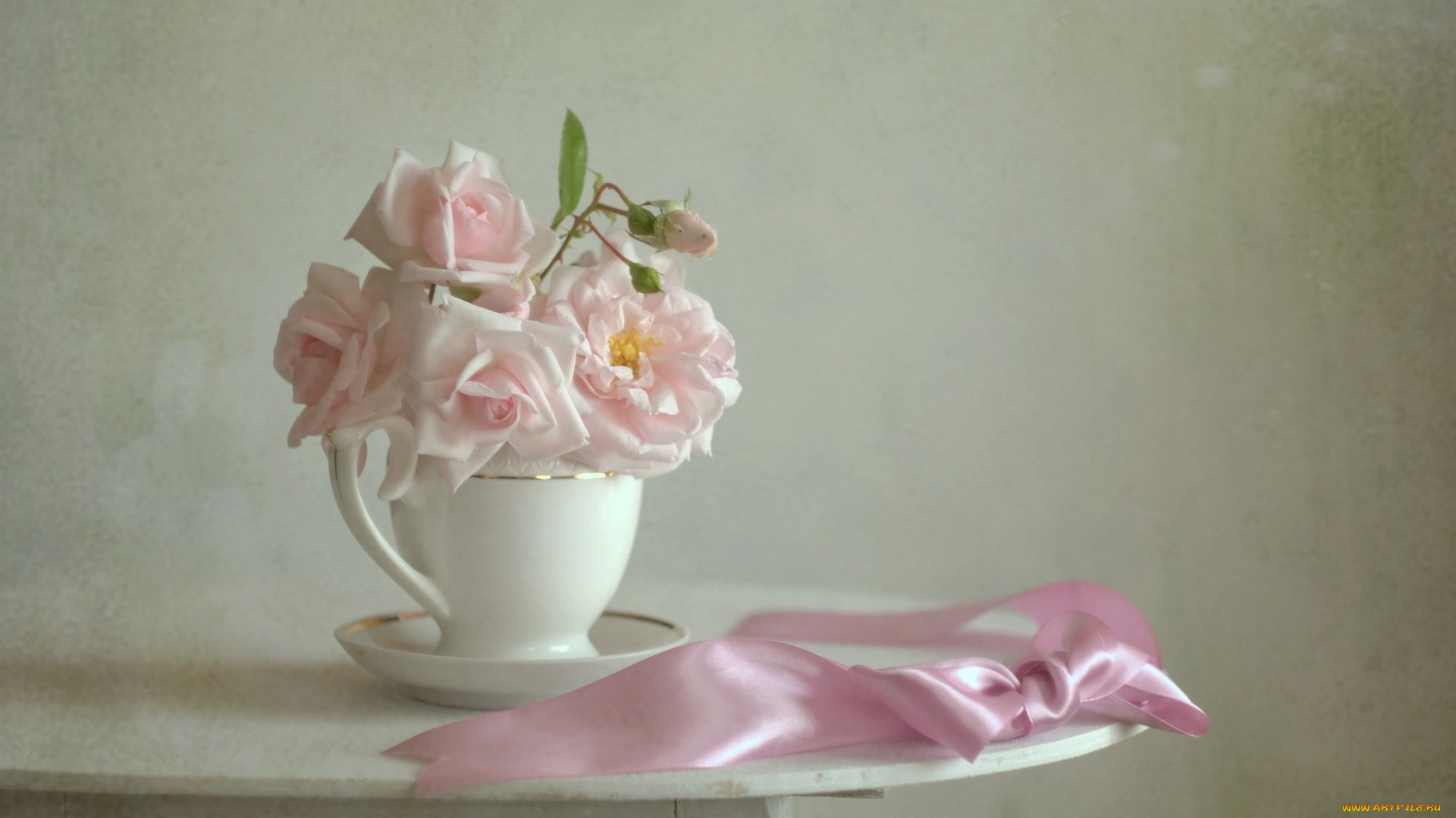 цветы, розы, blossoms, petals, leaves, bud, rose, листья, цветение, лепестки, бутон, роза