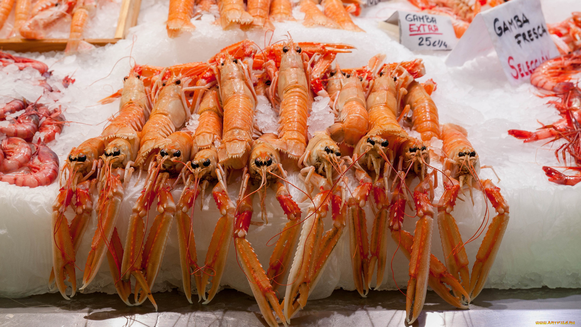 еда, рыба, , морепродукты, , суши, , роллы, деликатесы